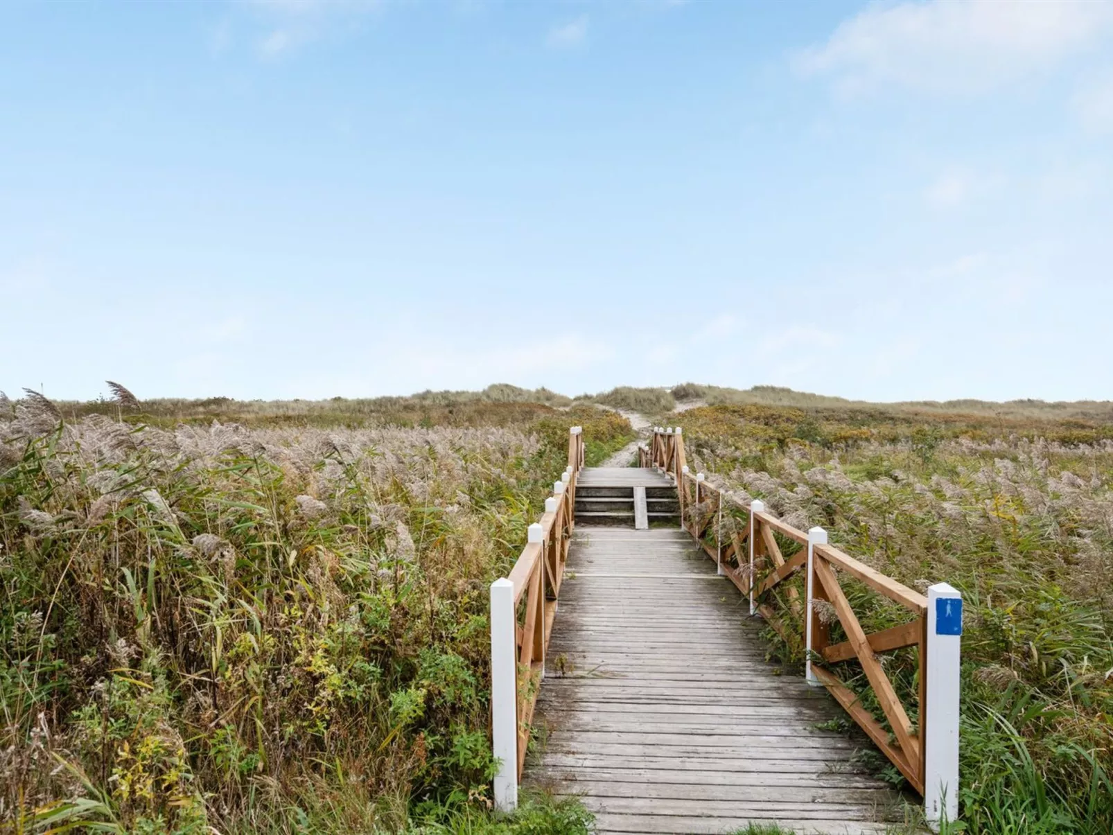 "Amaryllis" - 100m from the sea-Dehors