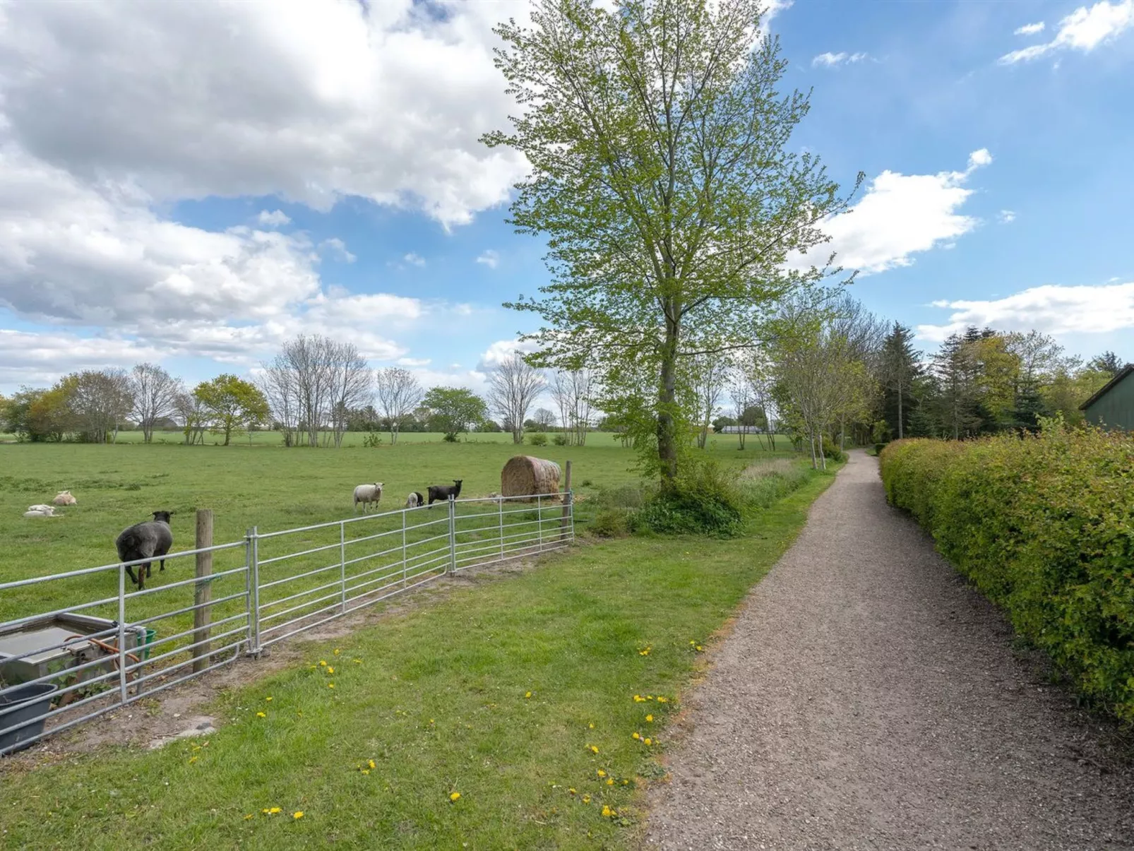 "Ilsa" - 9.8km from the sea-Dehors