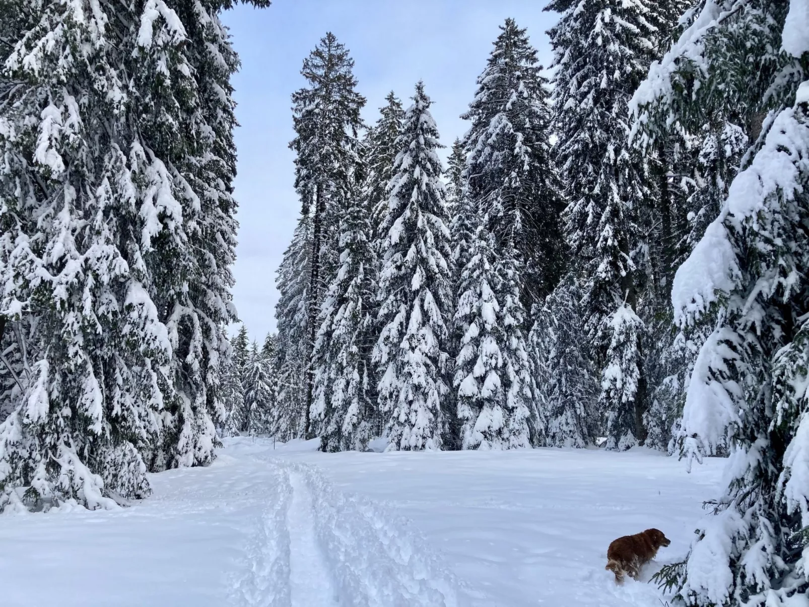 Maison de vacances - LM-Draußen