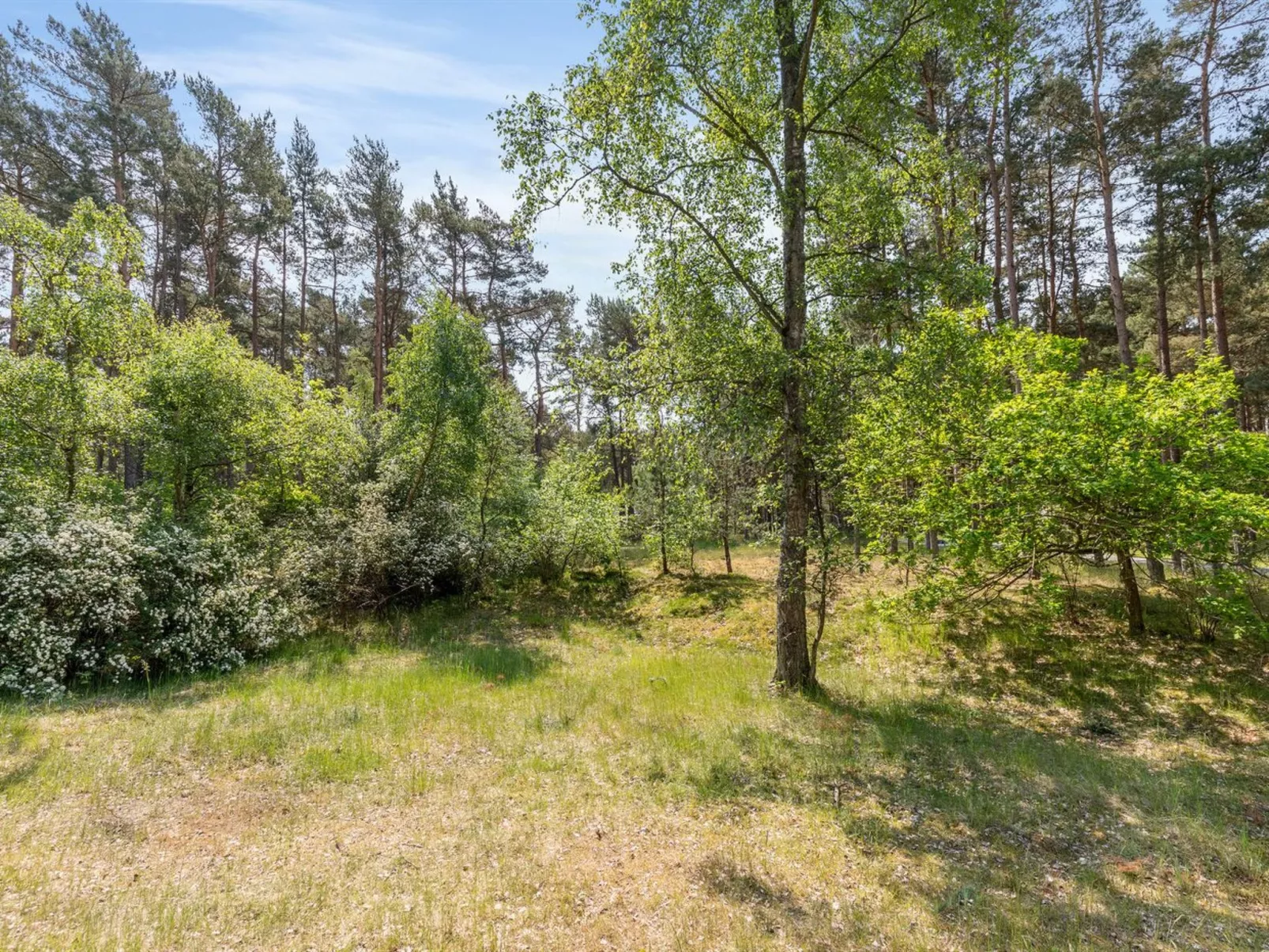 "Aave" - 800m from the sea-Outside