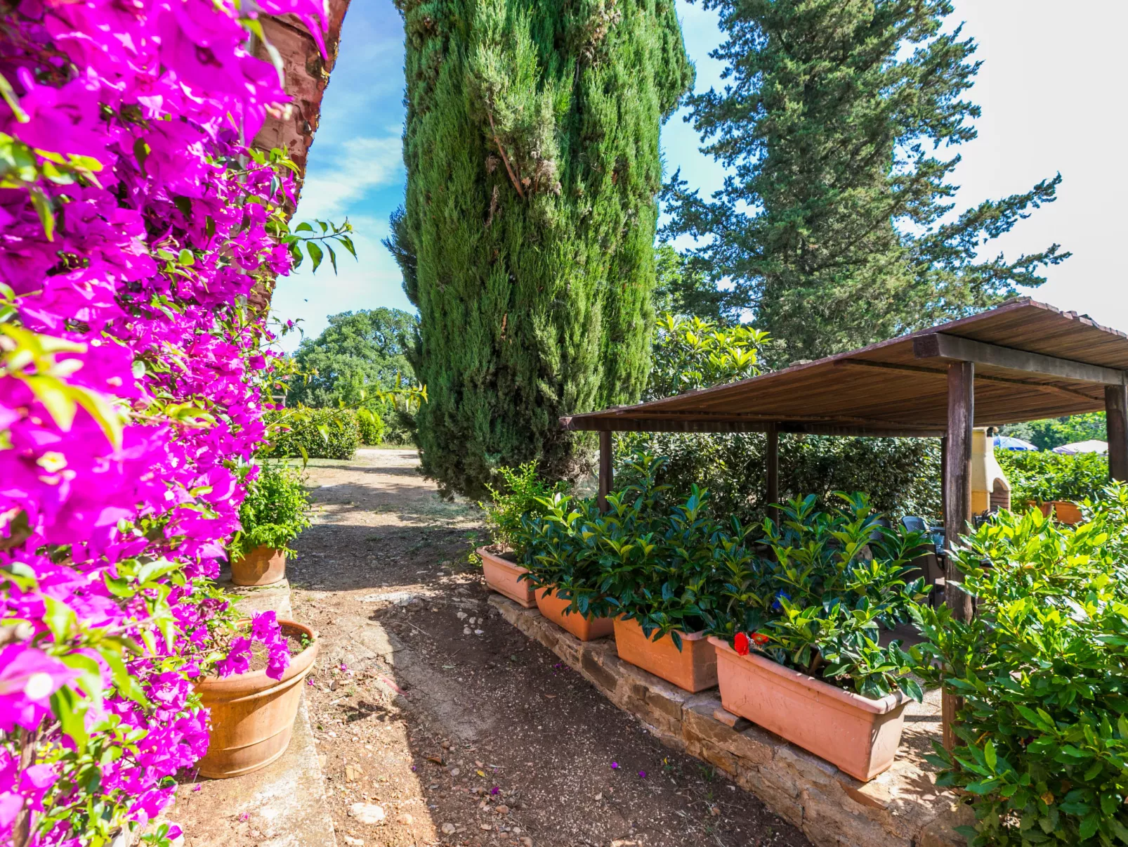 Campo Fiorito-Outside