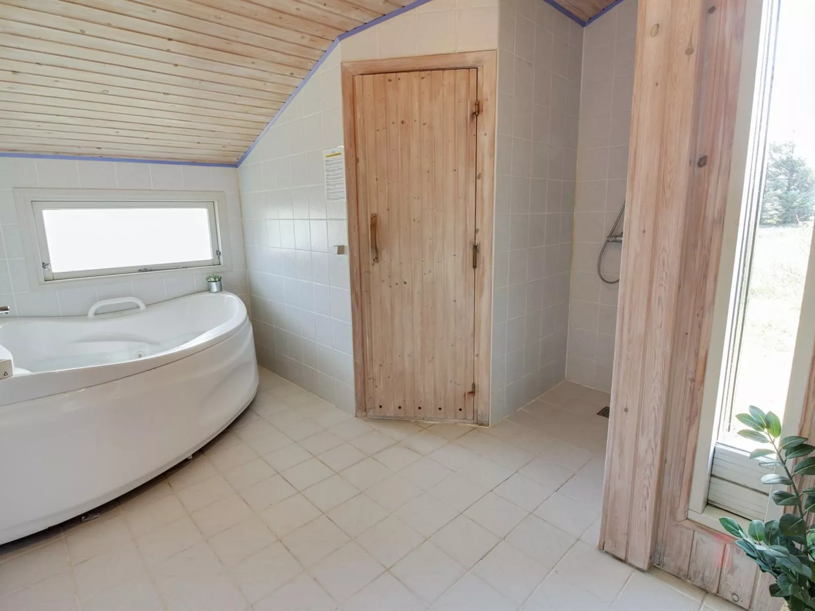 "Babo" -  from the sea-Inside