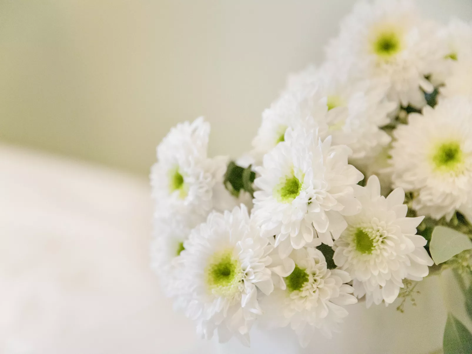 Chesa Ova Cotschna 306-Drinnen