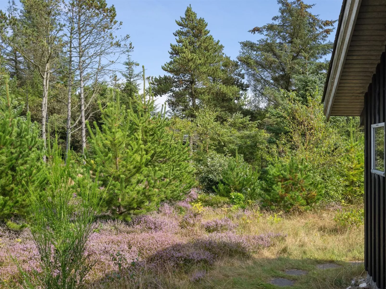 "Asmo" - 350m from the sea-Outside