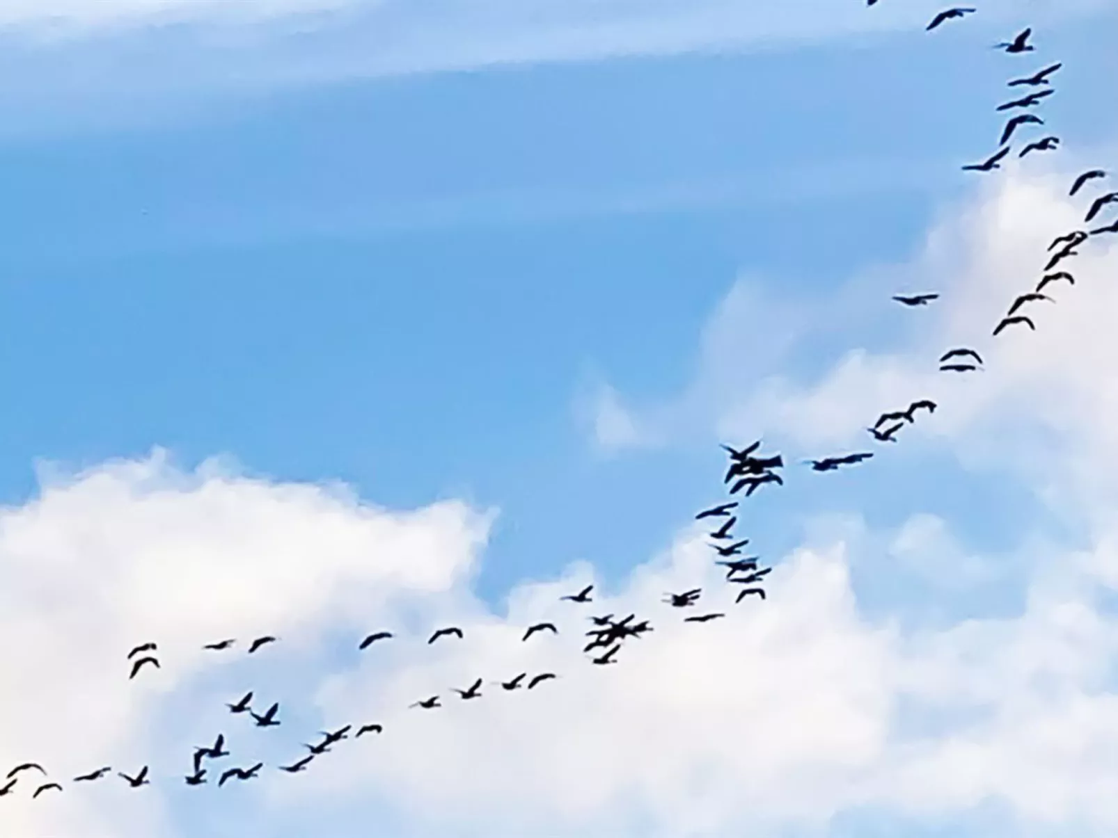 "Stacie" - 10m from the sea-Draußen