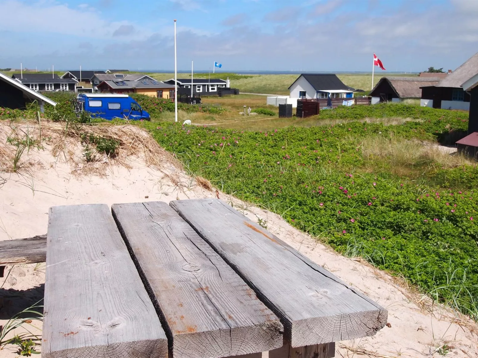 "Analia" -  from the sea-Outside