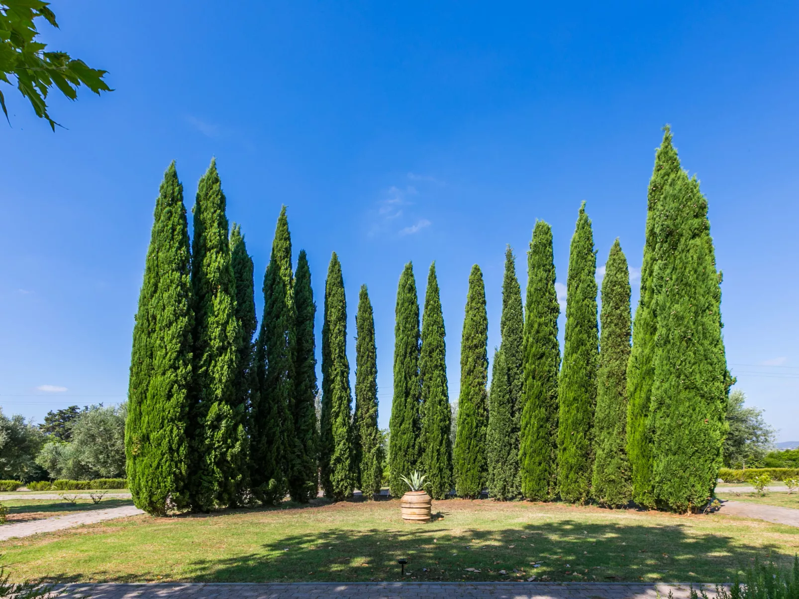 Quercia Alta-Outside