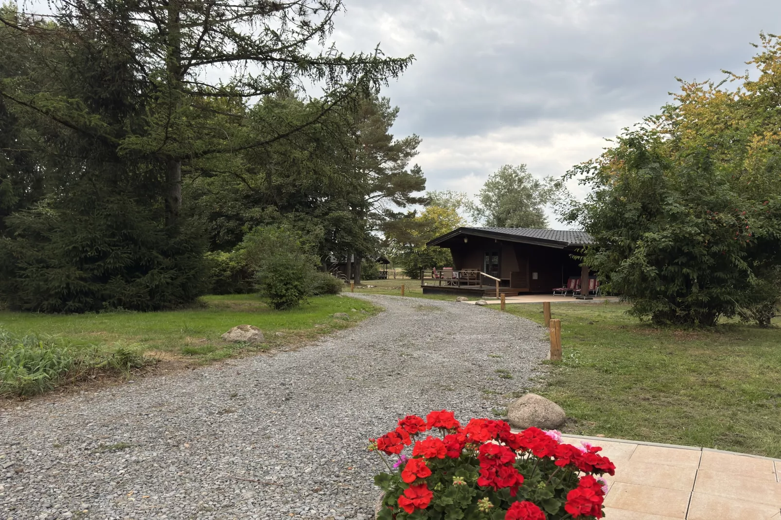 Lüneburger Heide-View in summer