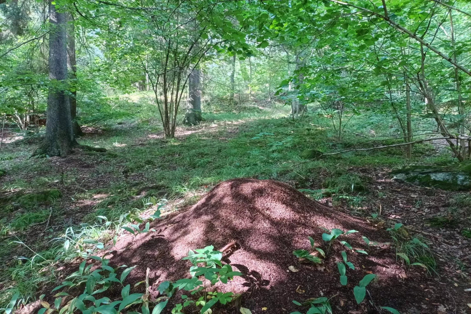 4 person holiday home in HUDDINGE-By Traum-Untagged