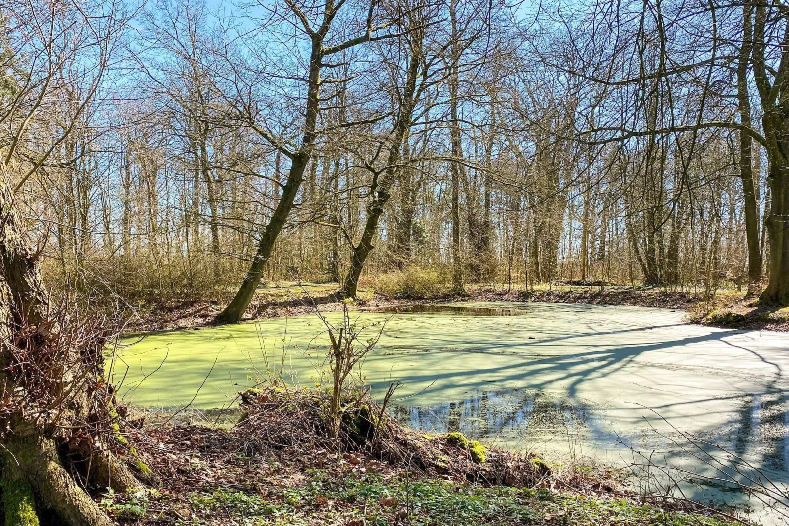 4 Personen Ferienhaus in Tønder-By Traum-Wasserblick