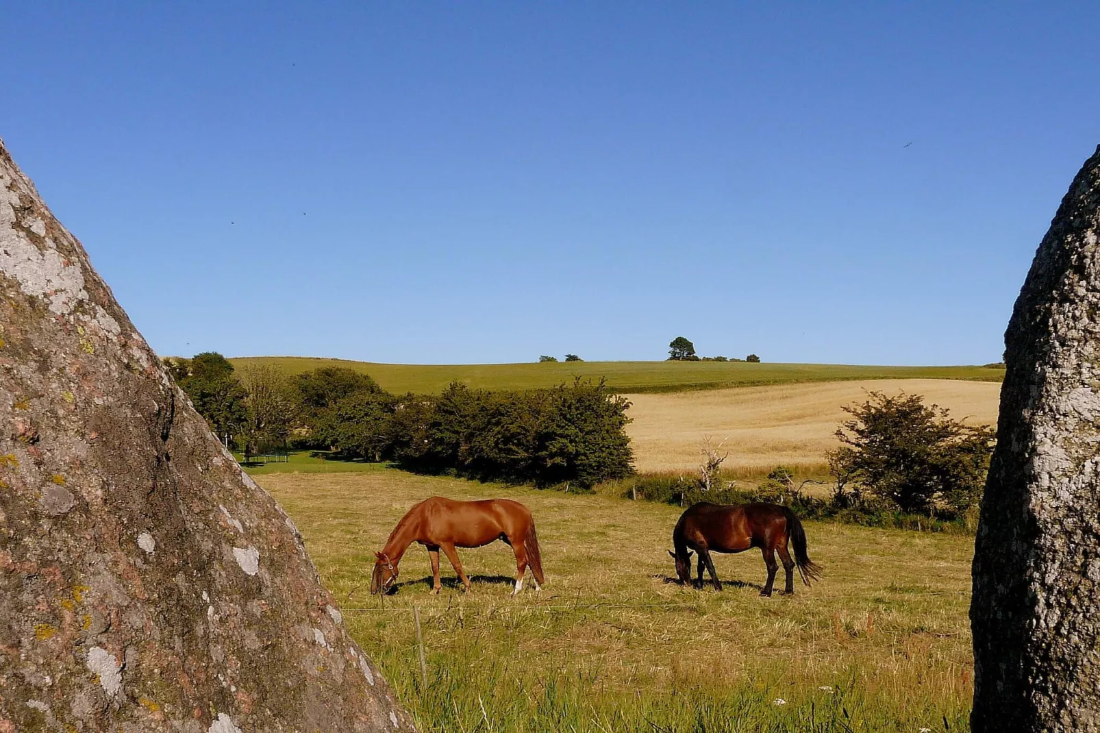 6 person holiday home in Knebel-By Traum-Untagged