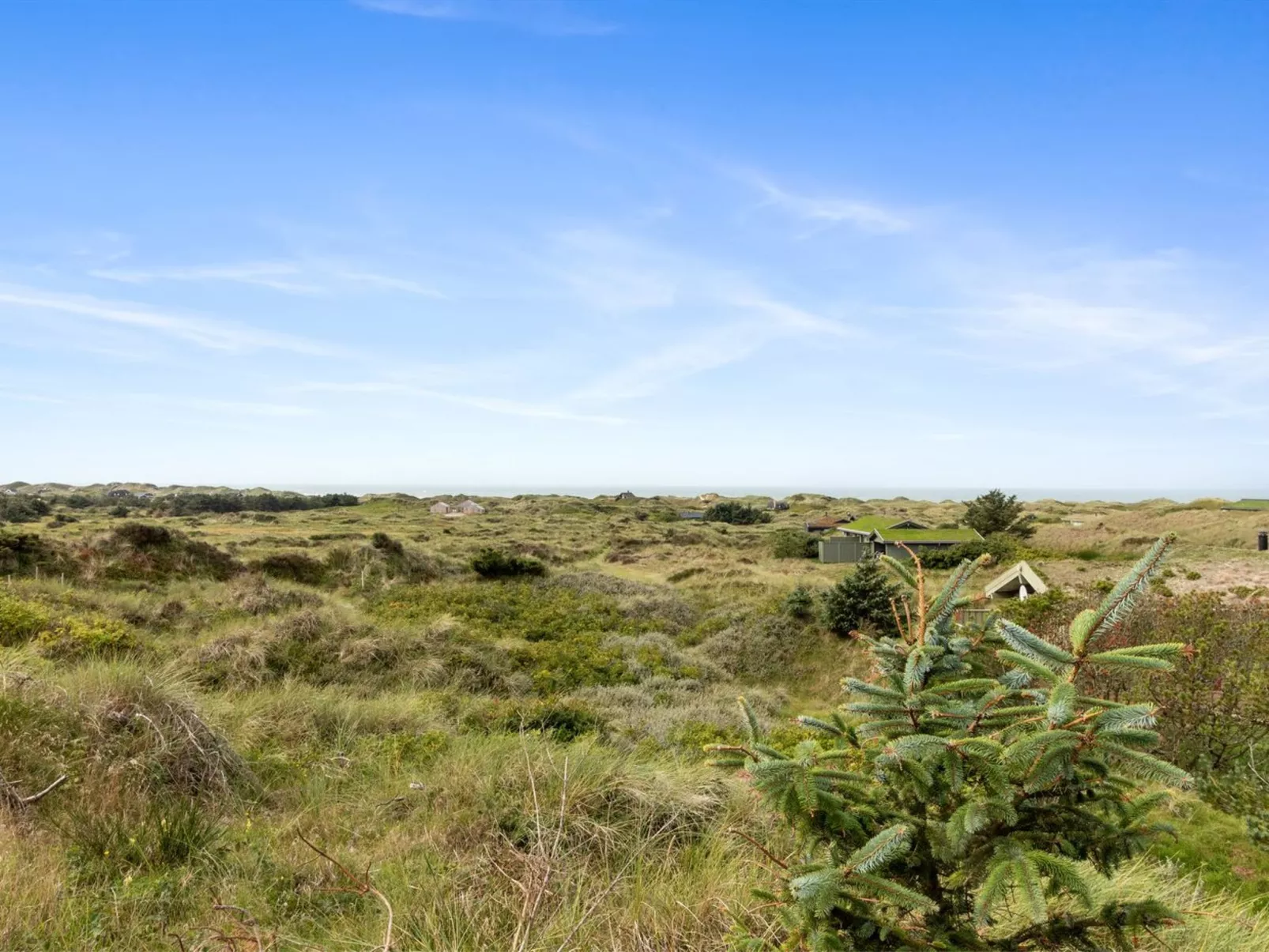 "Maini" - 600m from the sea-Dehors