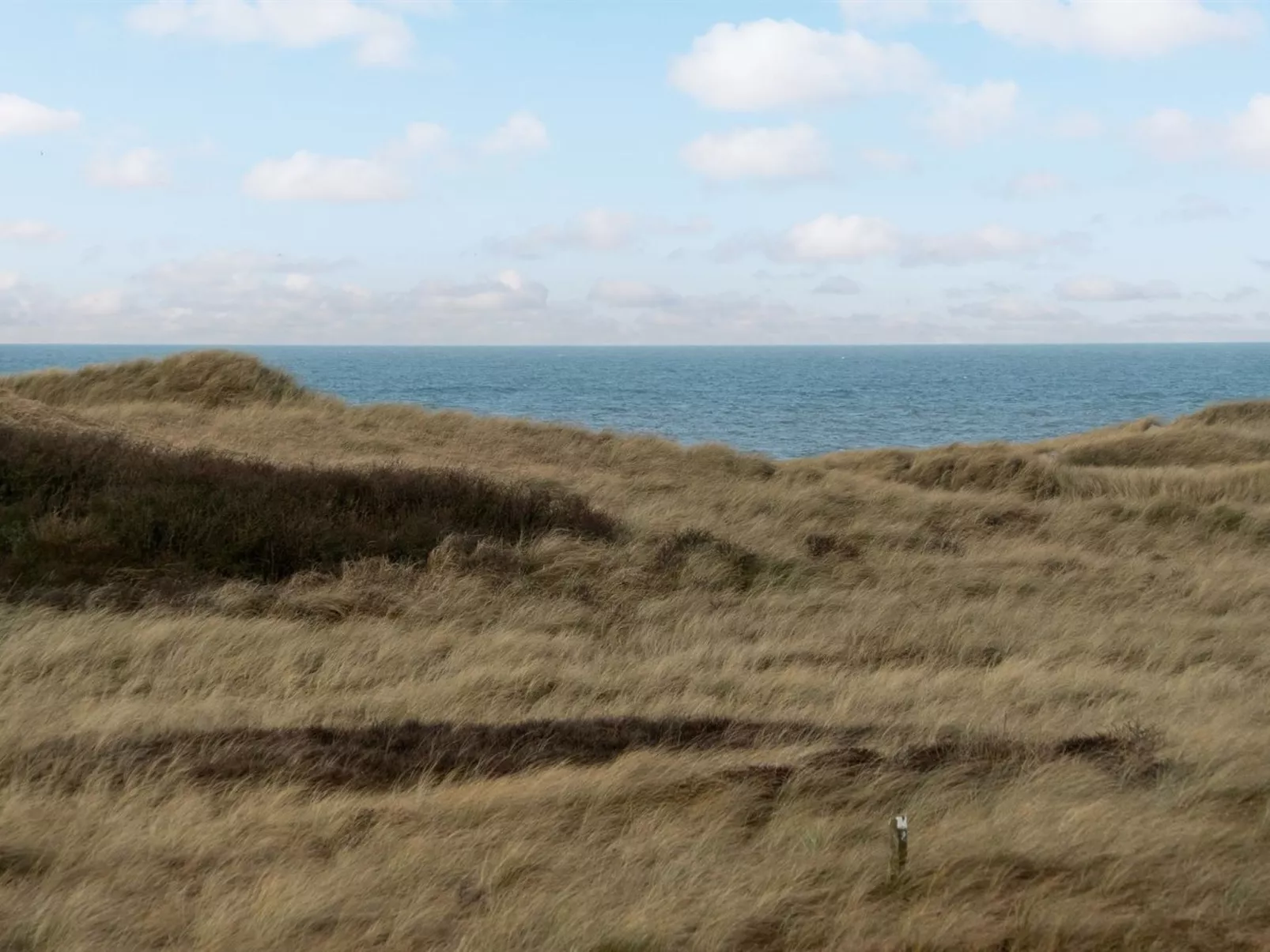 "Kalina" - 150m from the sea-Draußen