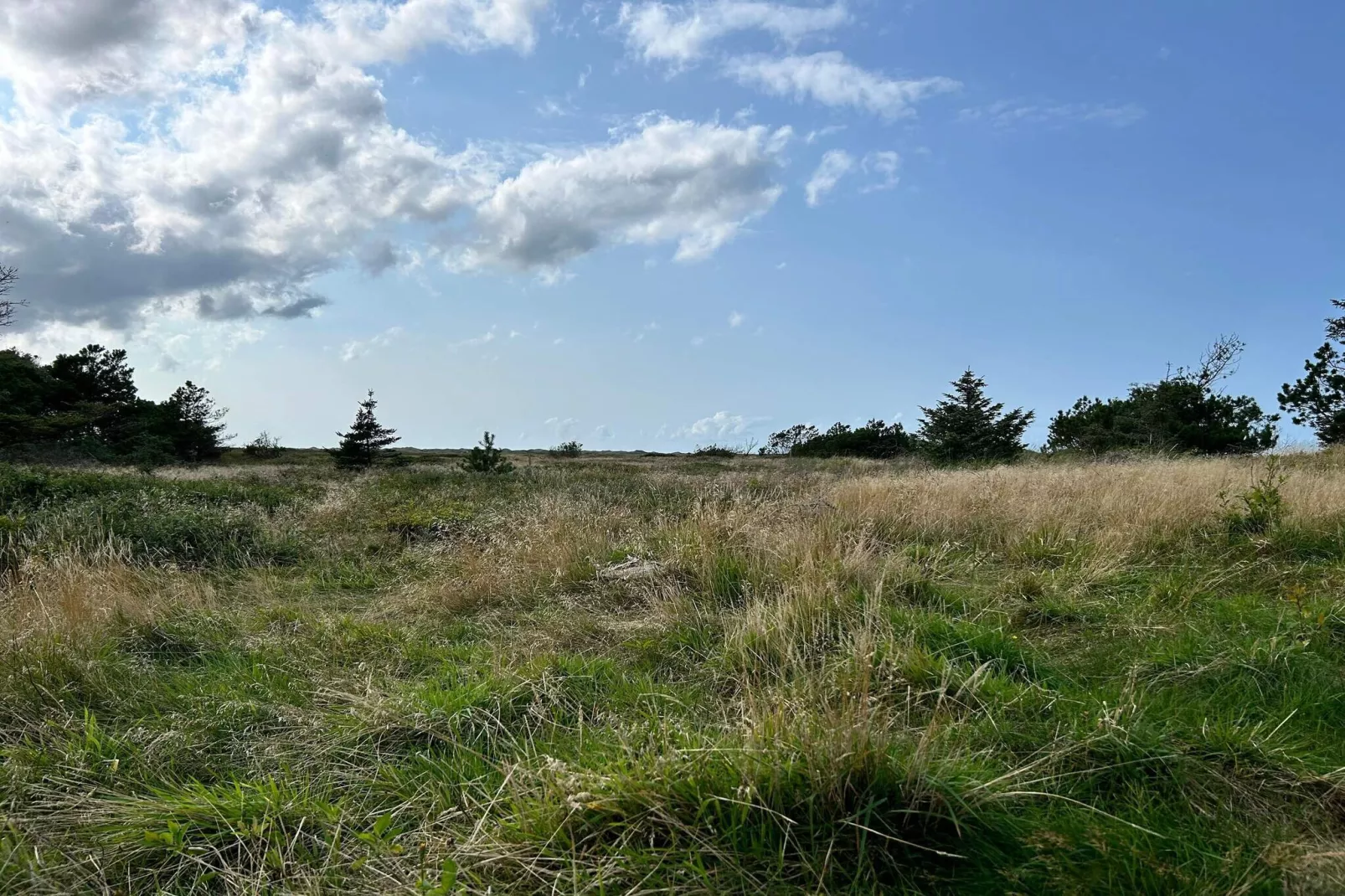 Maison de vacances pour 6 a Pandrup-By Traum-Non tagué