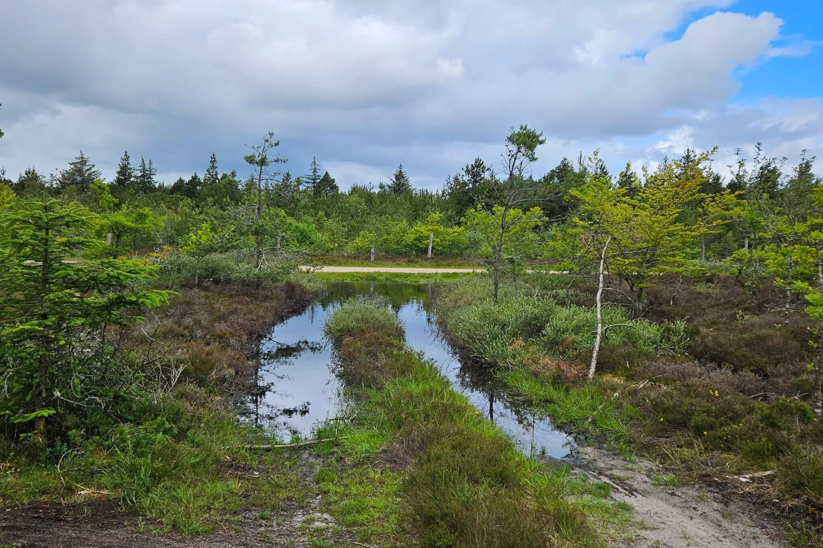 6 person holiday home in Henne-Water view