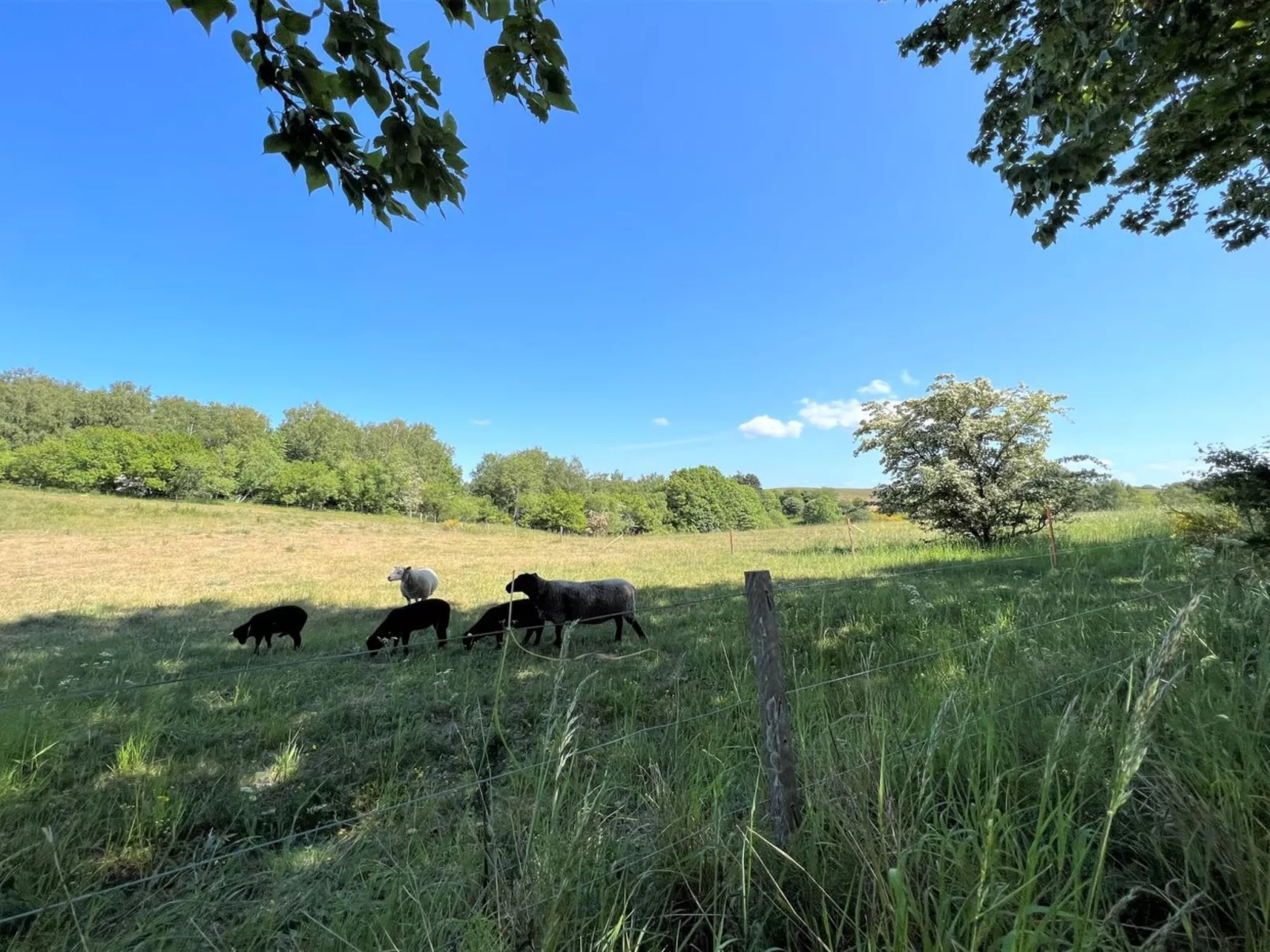 "Aurore" - 1.3km from the sea-Outside