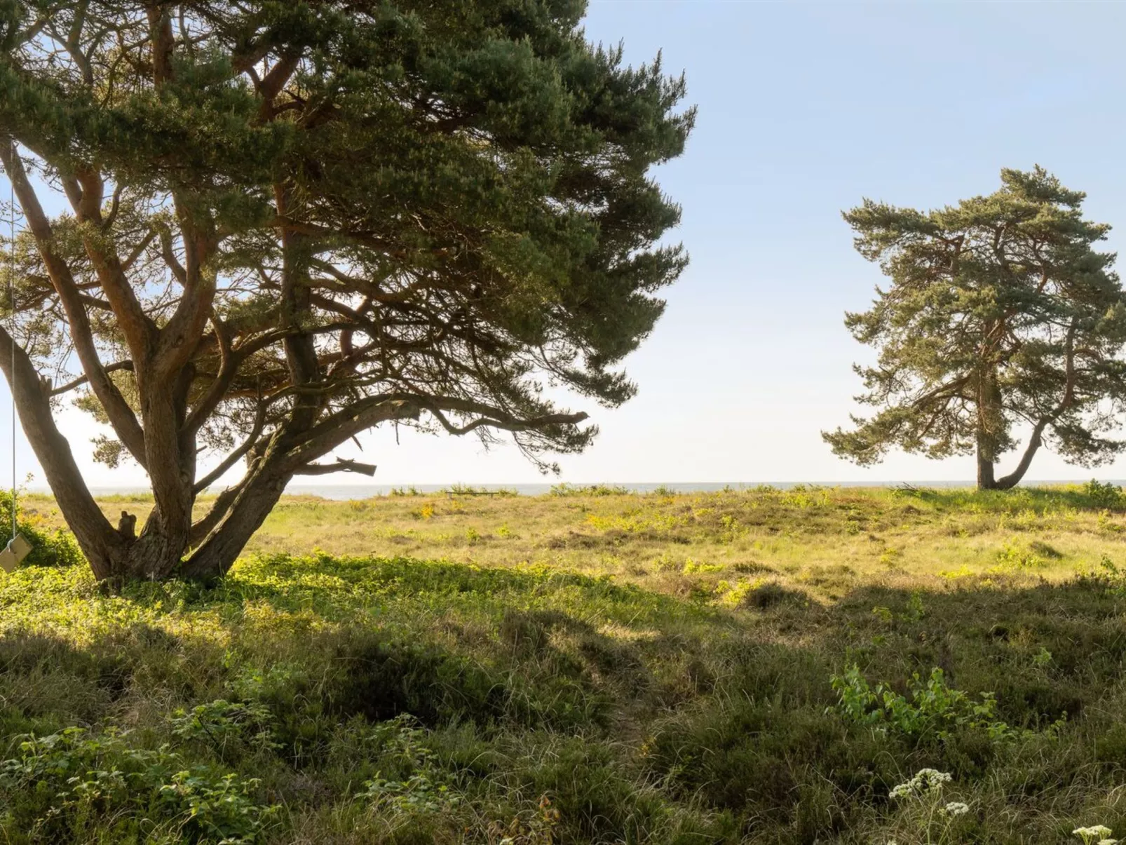 "Toska" - 100m to the fjord-Draußen