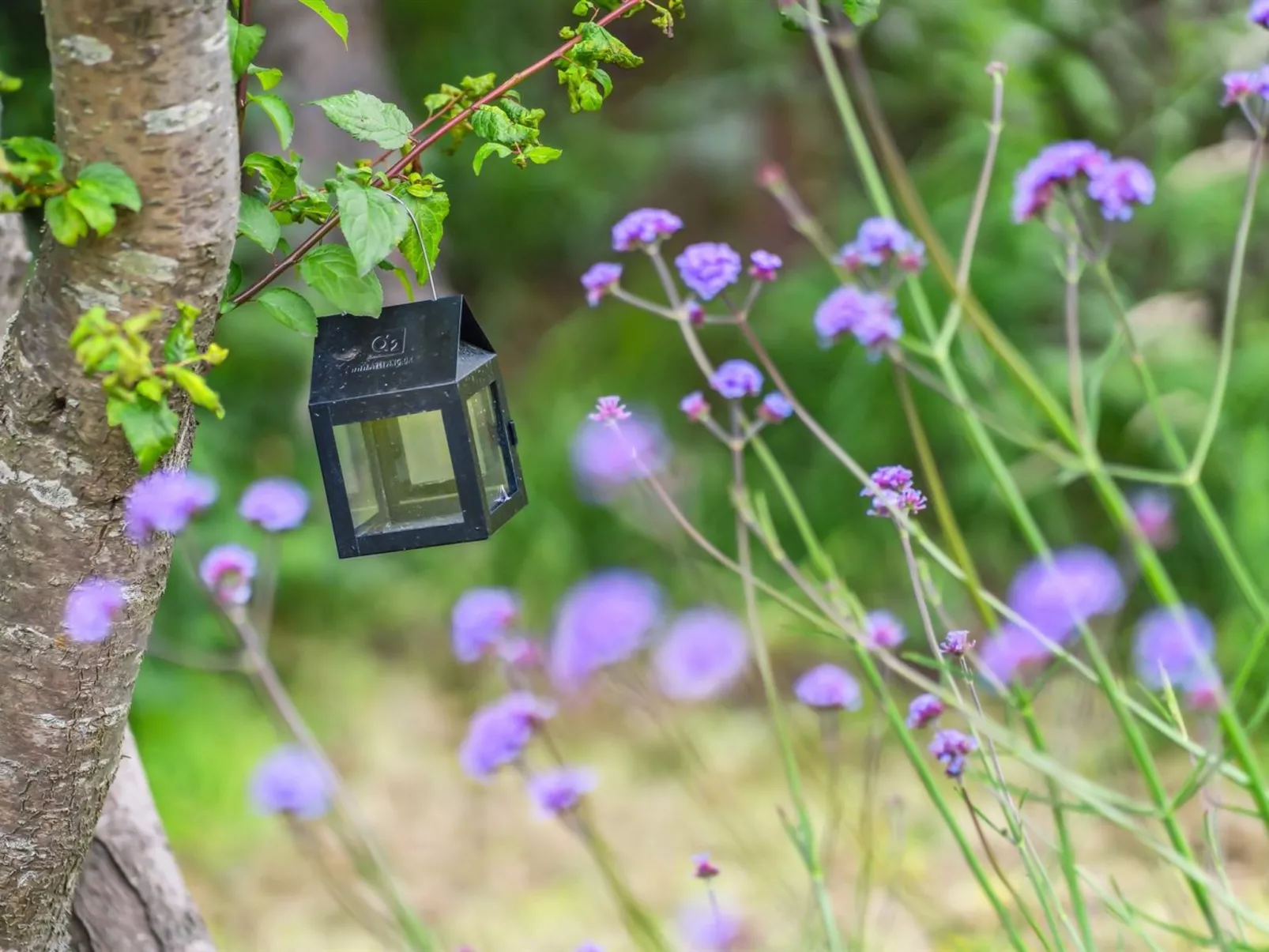 "Karlene" - 300m from the sea-Outside