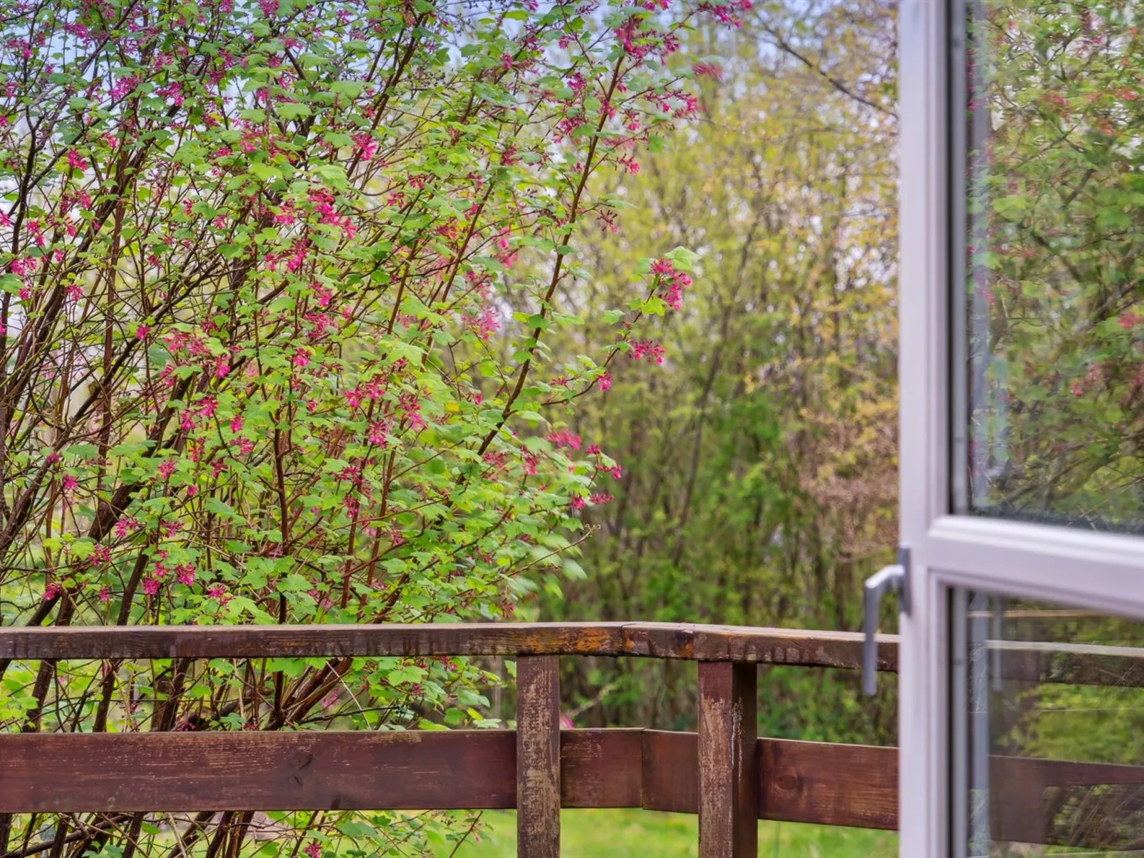 "Avni" - 300m from the sea-Outside