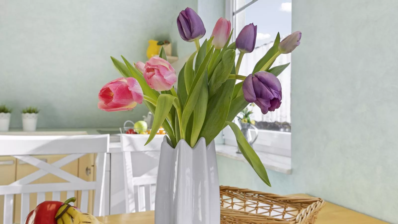 Nordlicht - Windjammer-Ambiance