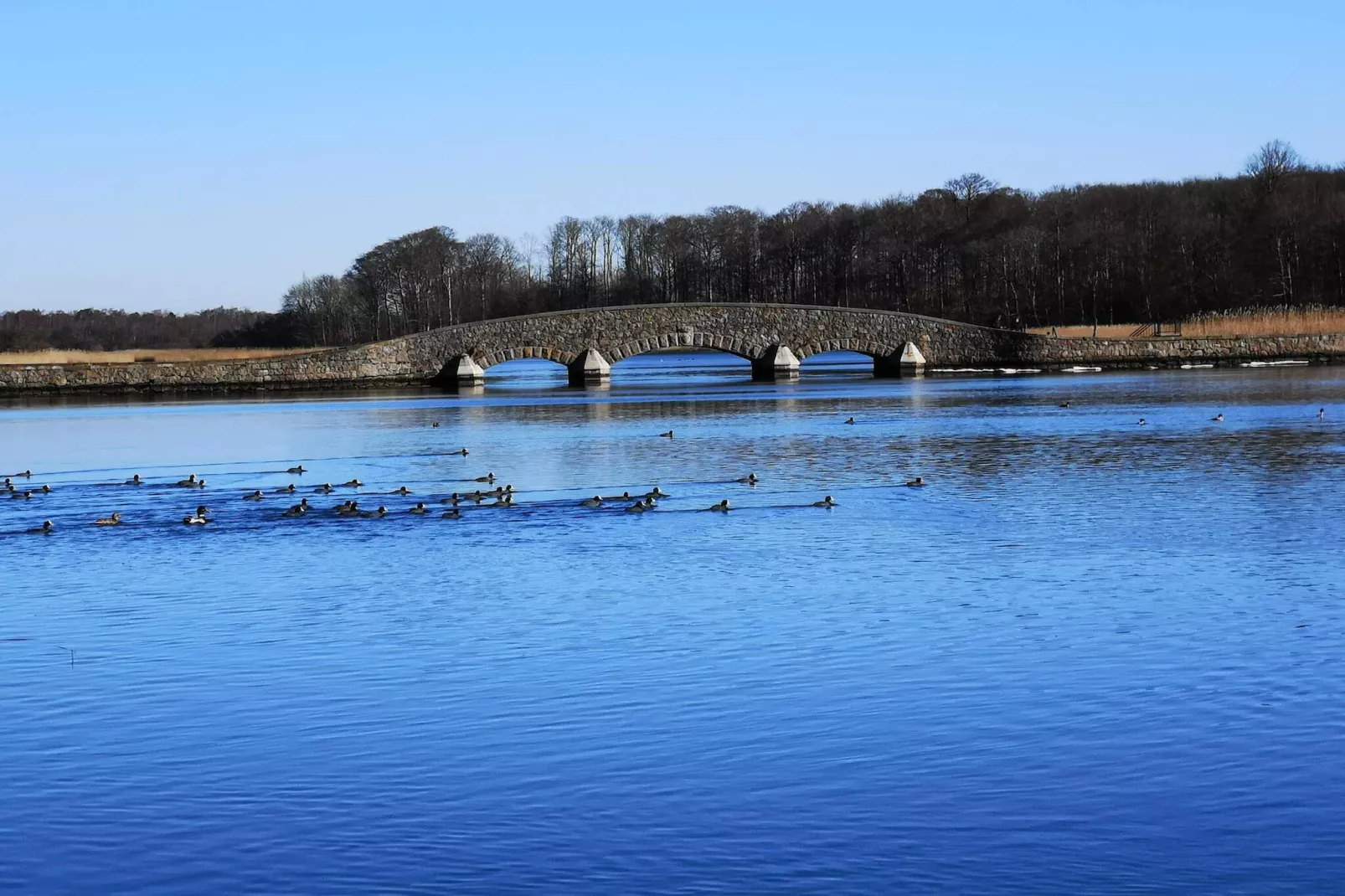 Charming Retreat on Eno - By Traum Ferienwohnungen-Water view