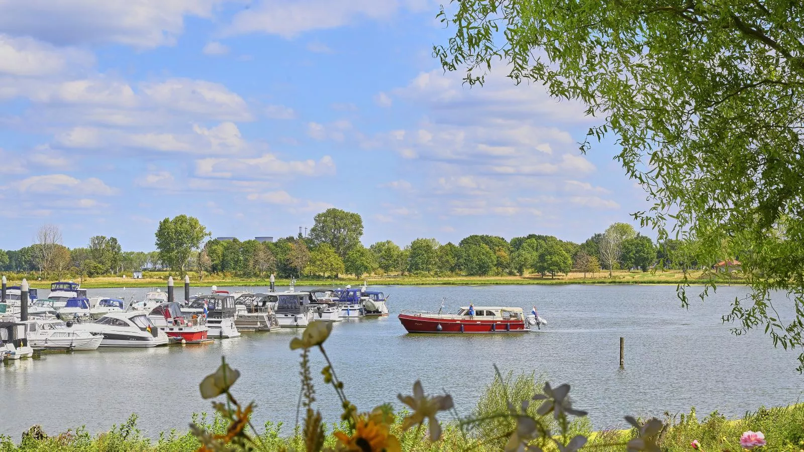 Rose Garden-Vue d'été