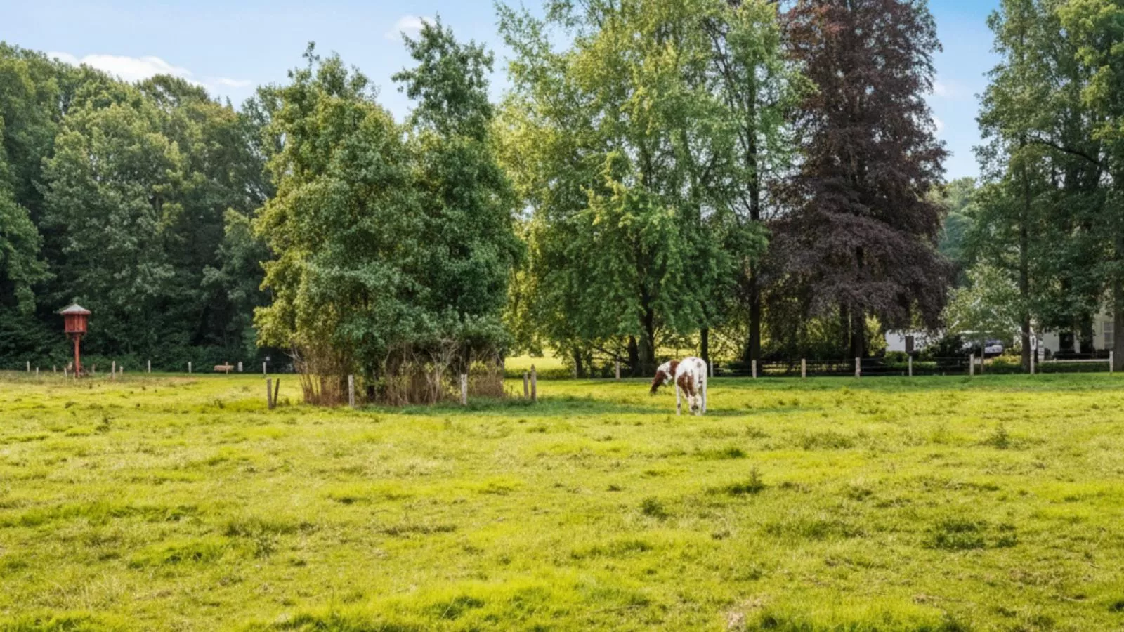 Wellnesshuisje Kalheupink-Areas within 1km in summer