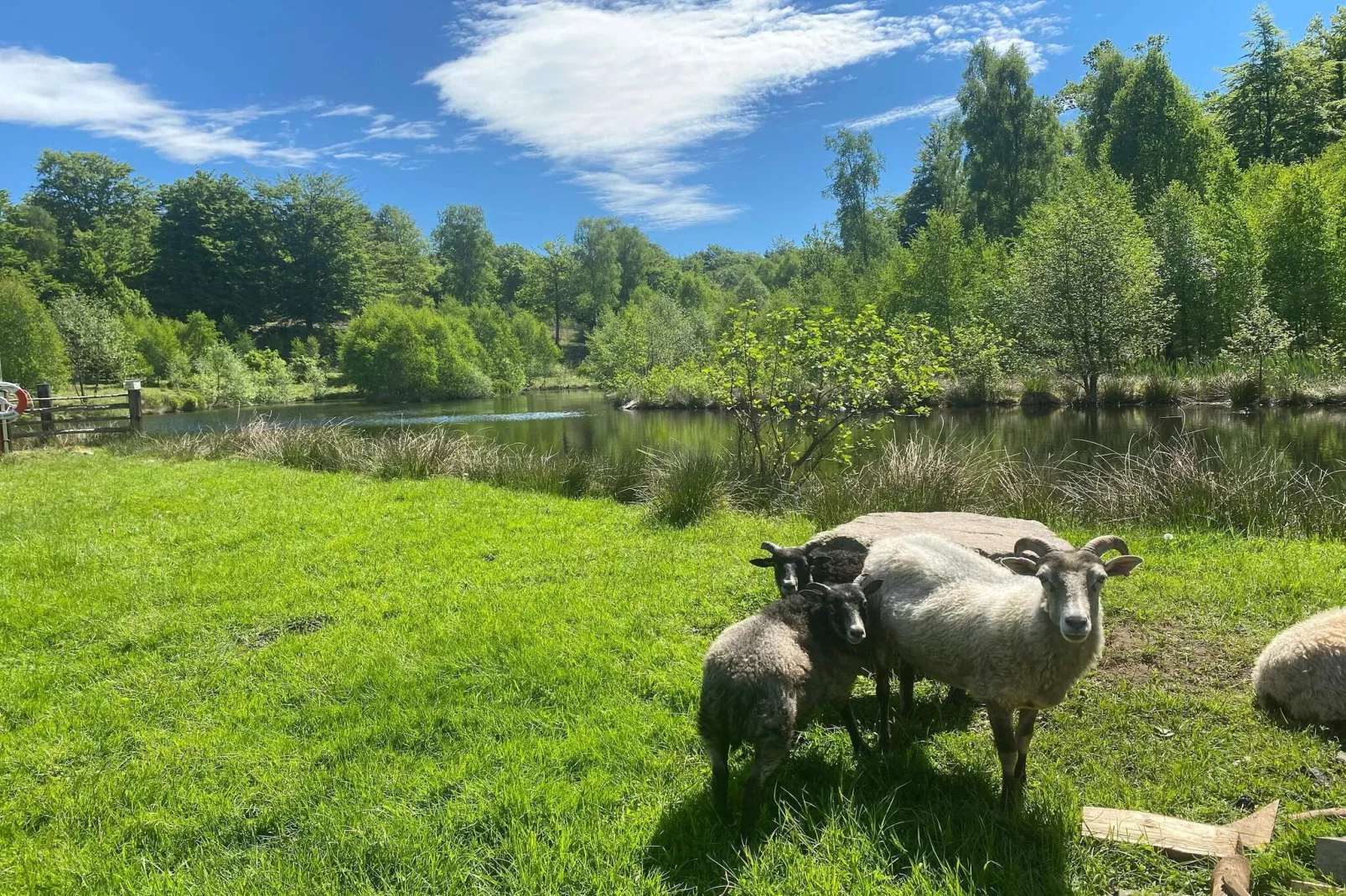 4 person holiday home in Hoor-Water view