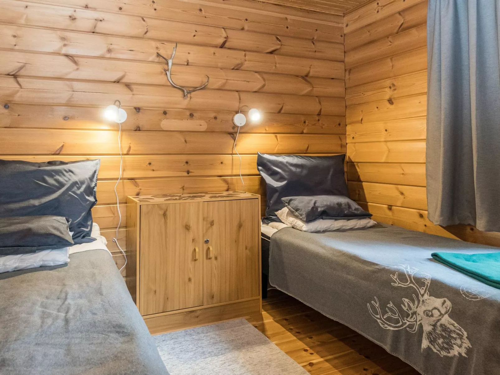 Kevätruska b-Dedans