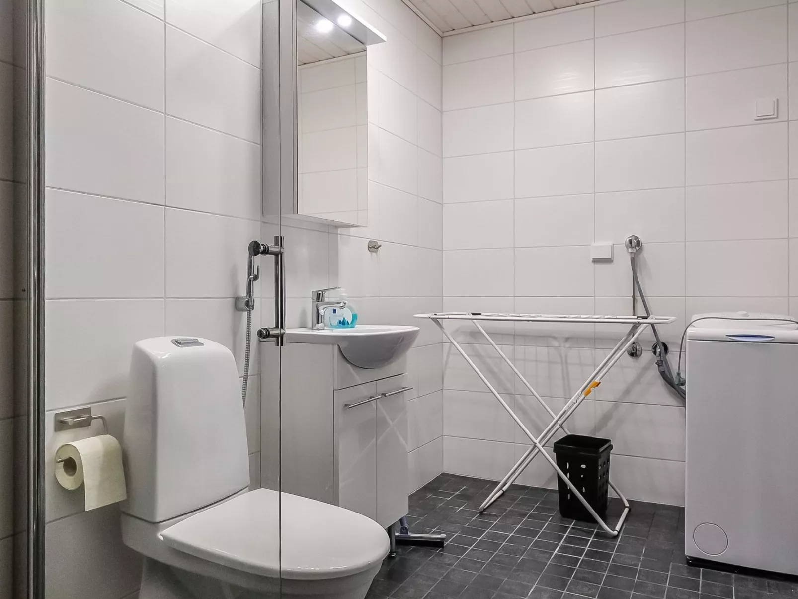 Levin revontulitaivas a-Dedans