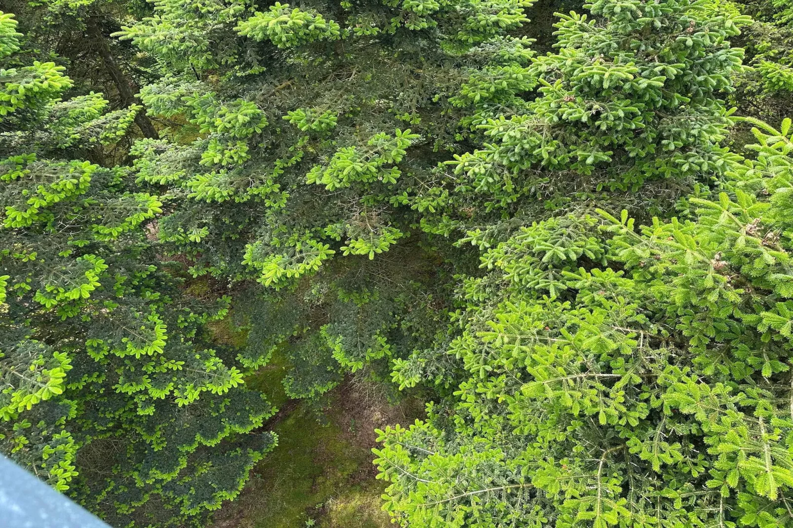 Maison de vacances dans le Jutland central-Non tagué