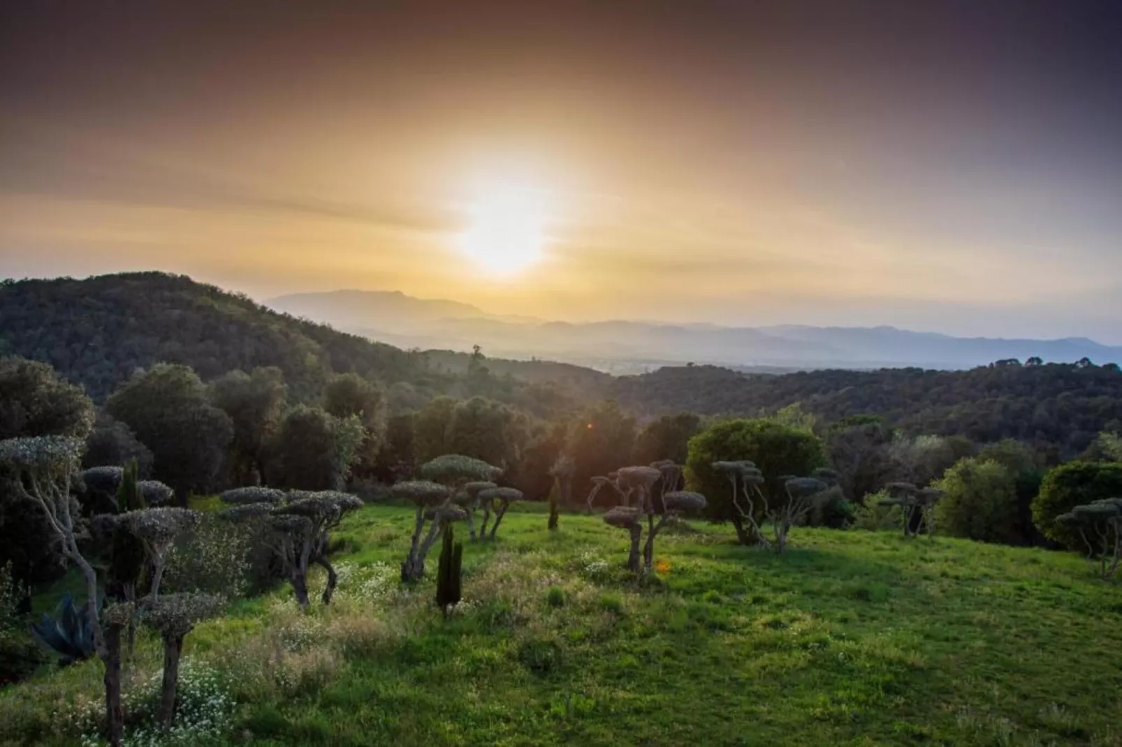 Cora-Gebiete Sommer 5 km