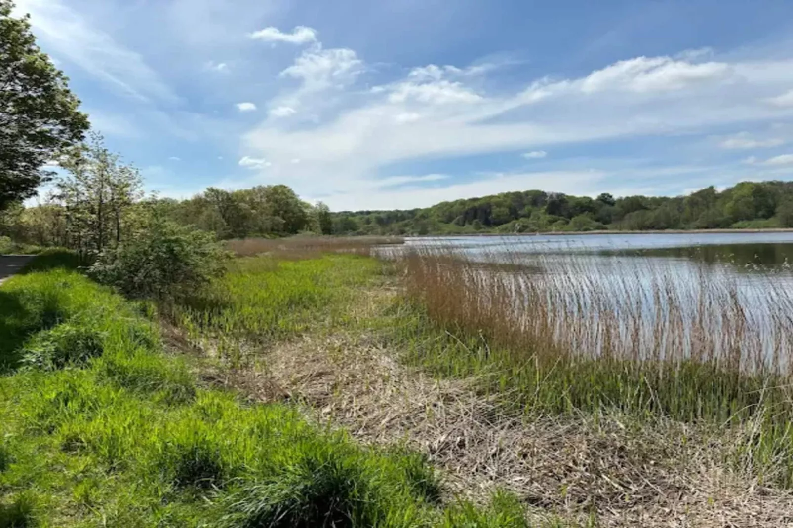 4 Sterne Ferienhaus in Aabenraa-Wasserblick