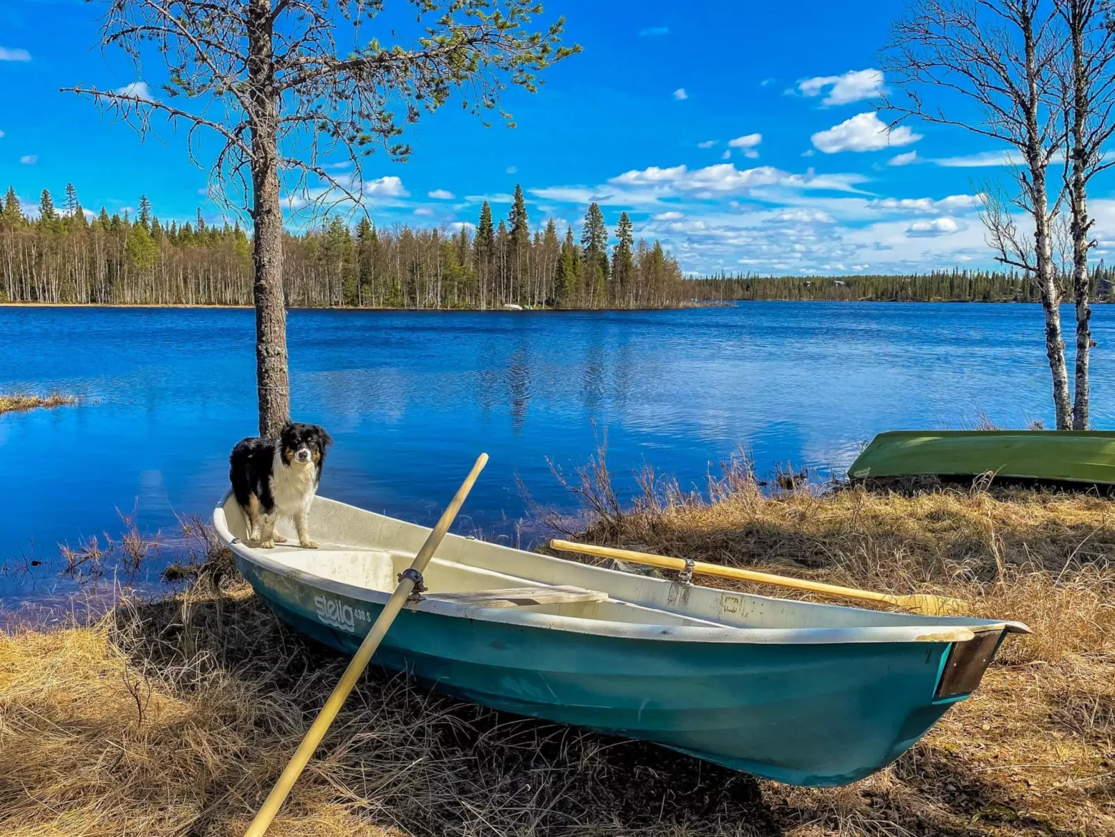 Riekonkätkä-Dedans