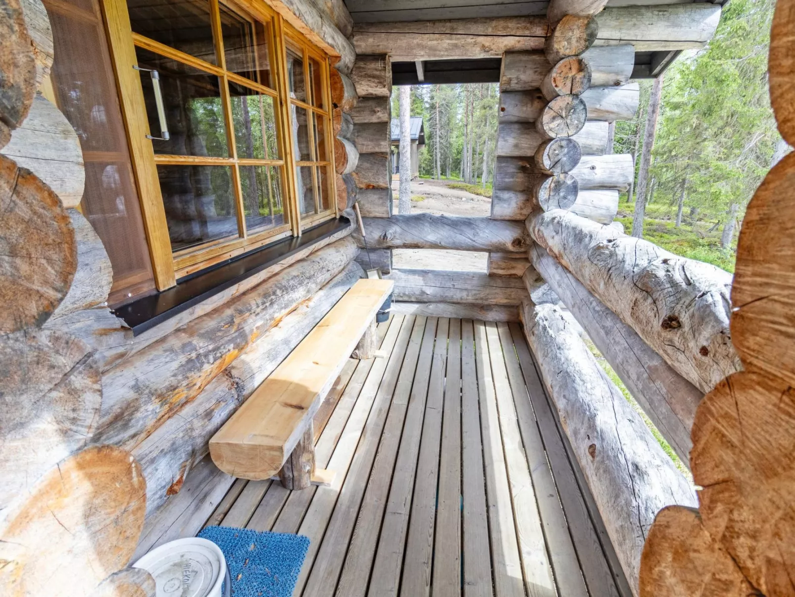 Kuontijärvi b-Dedans