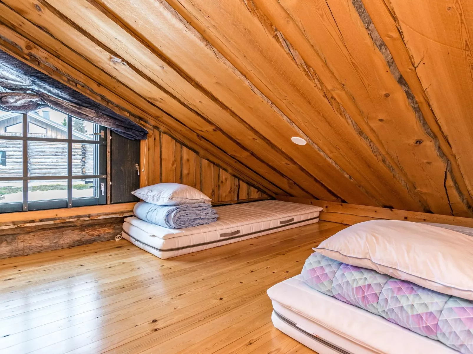 Saaruanaho h1-Dedans