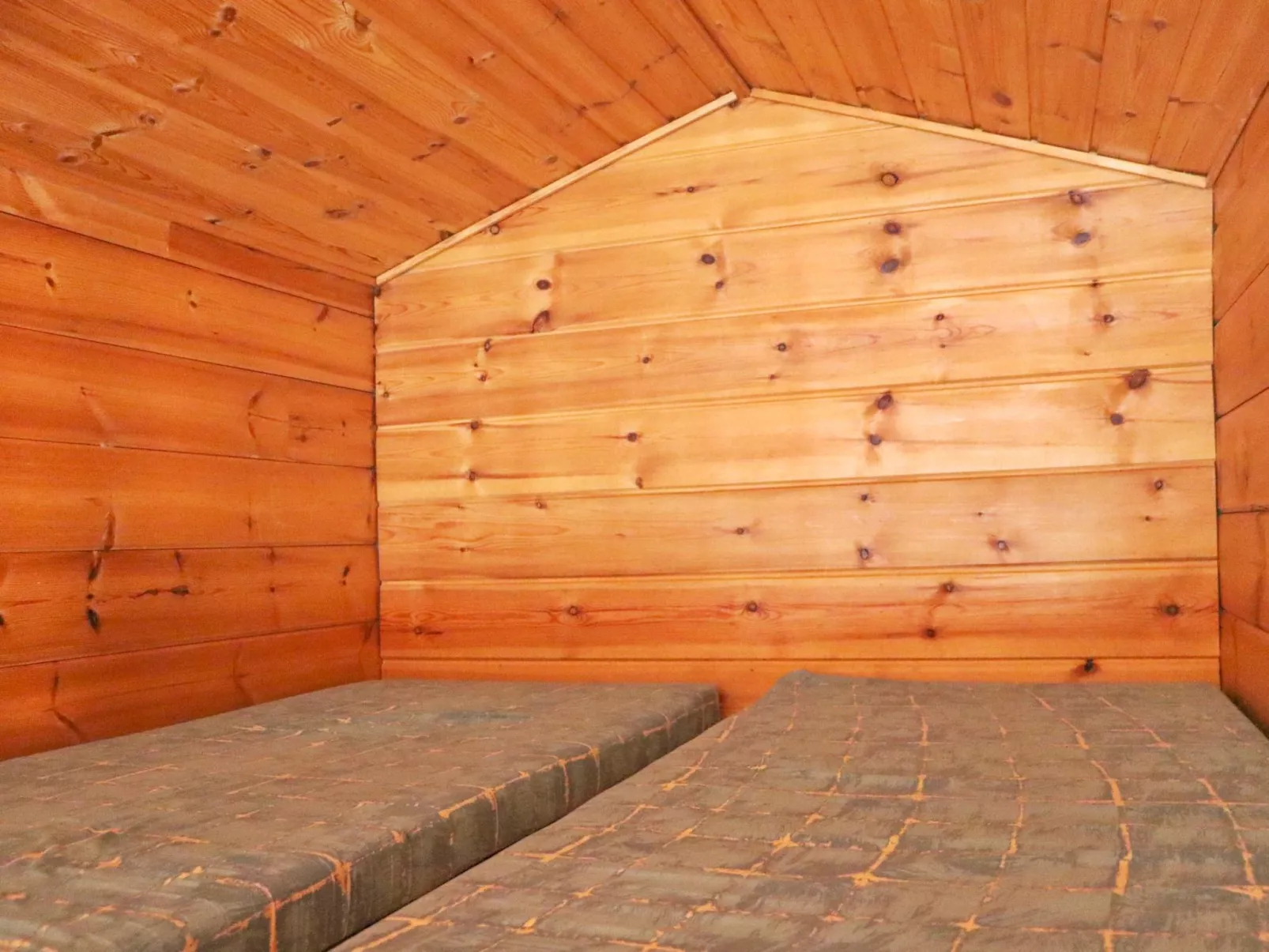 Alppitalo mökki-Dedans