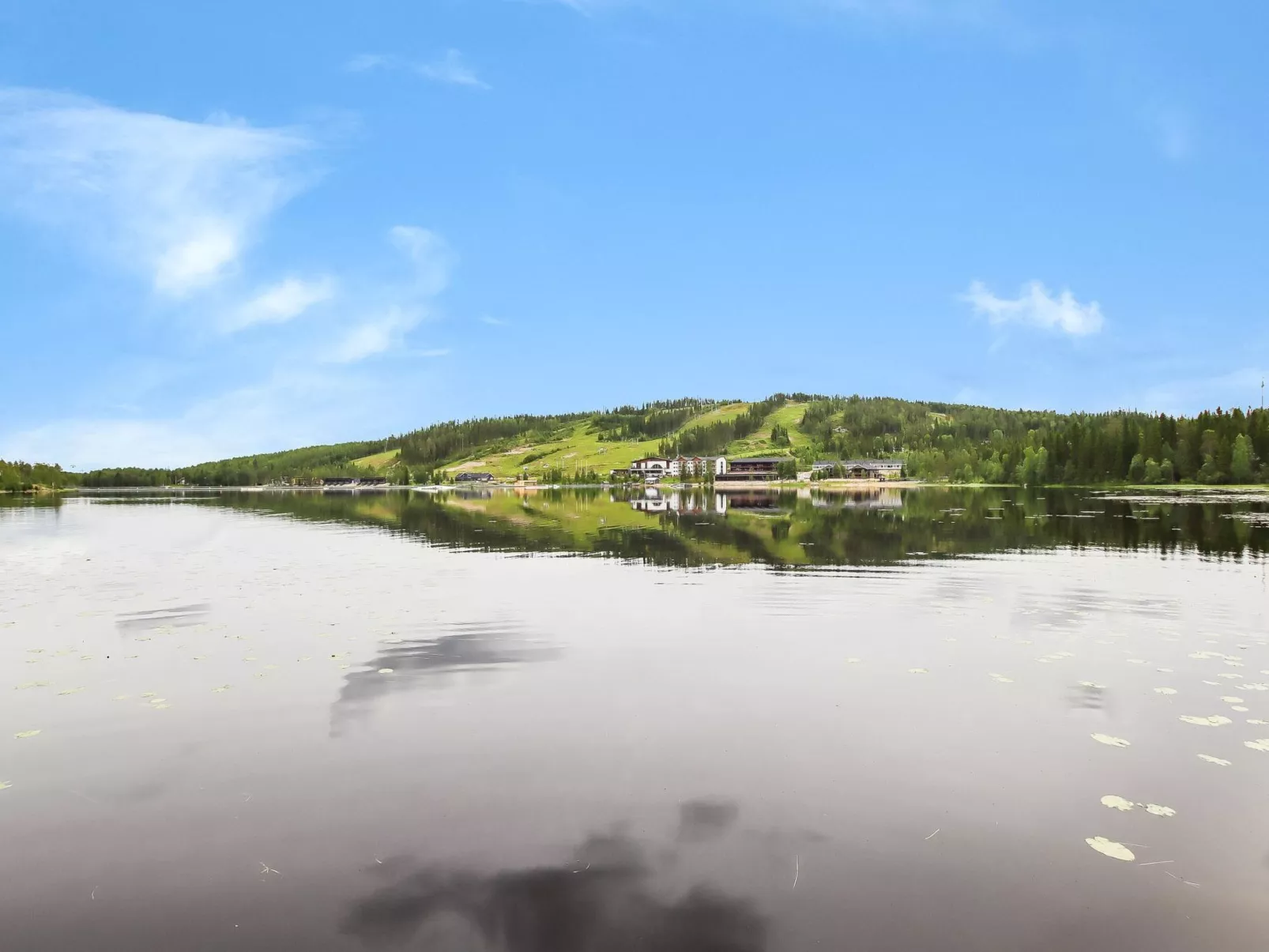 Taukotuli 4 paritalon alakerta-Dedans