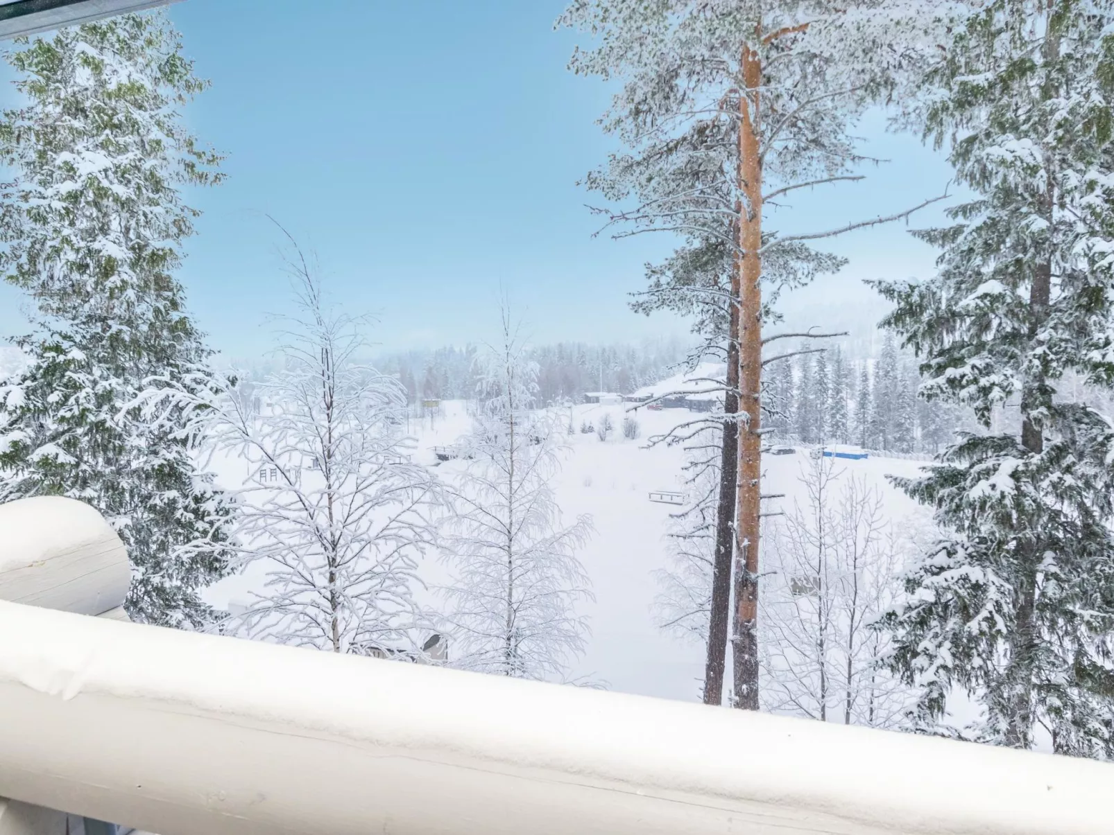 Karhunpesä a-Dedans