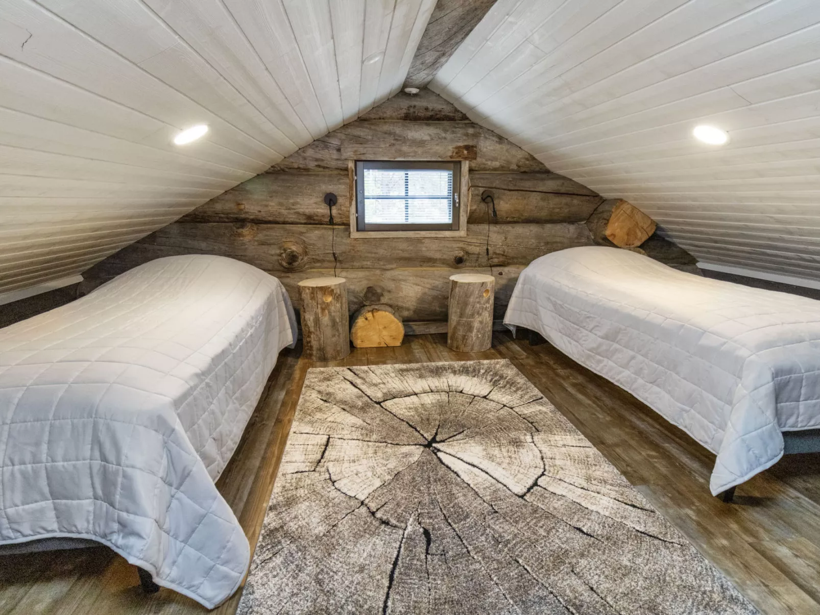 Ruka panorama-Dedans