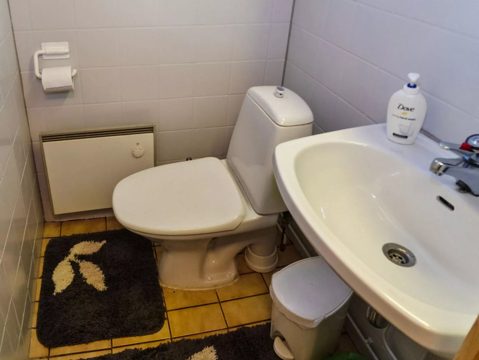 Mustalampi 3 lintukoto-Dedans