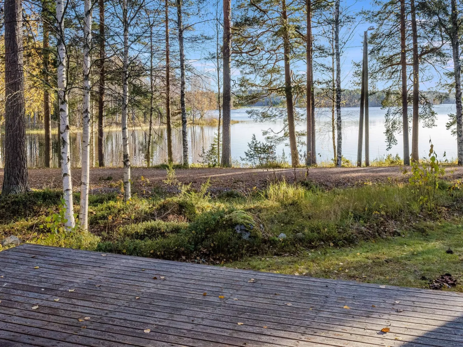 Kulta-käkönen 17 by bomba-Dedans