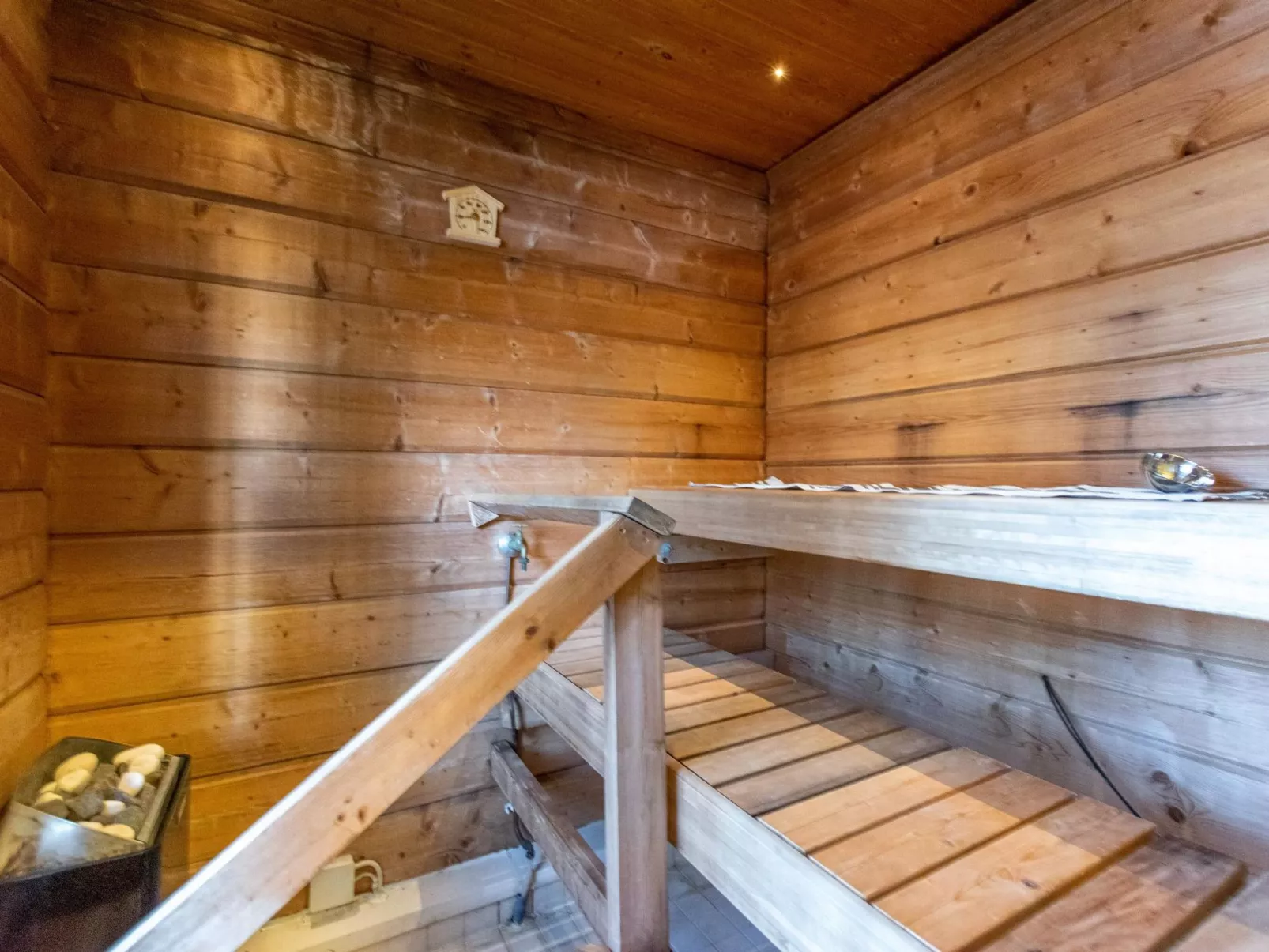 Näsinjoutsen-Dedans