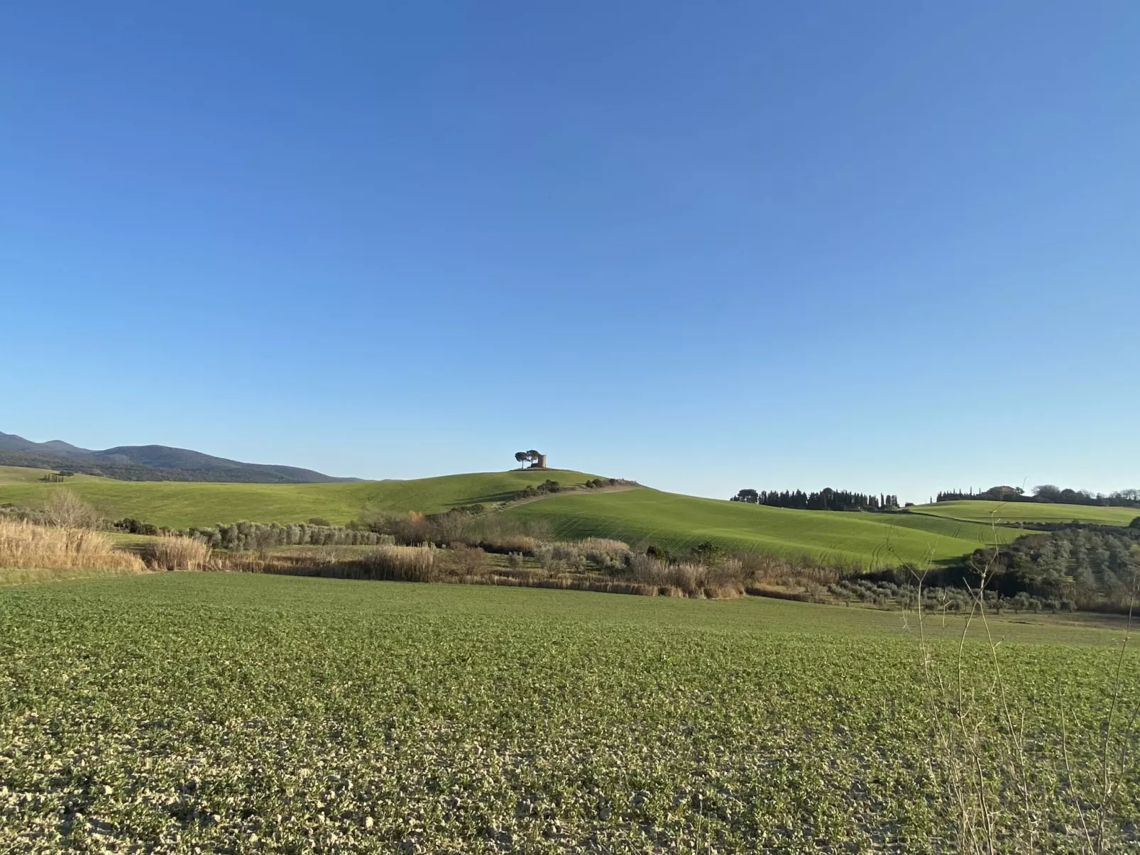 La Carraia-Draußen