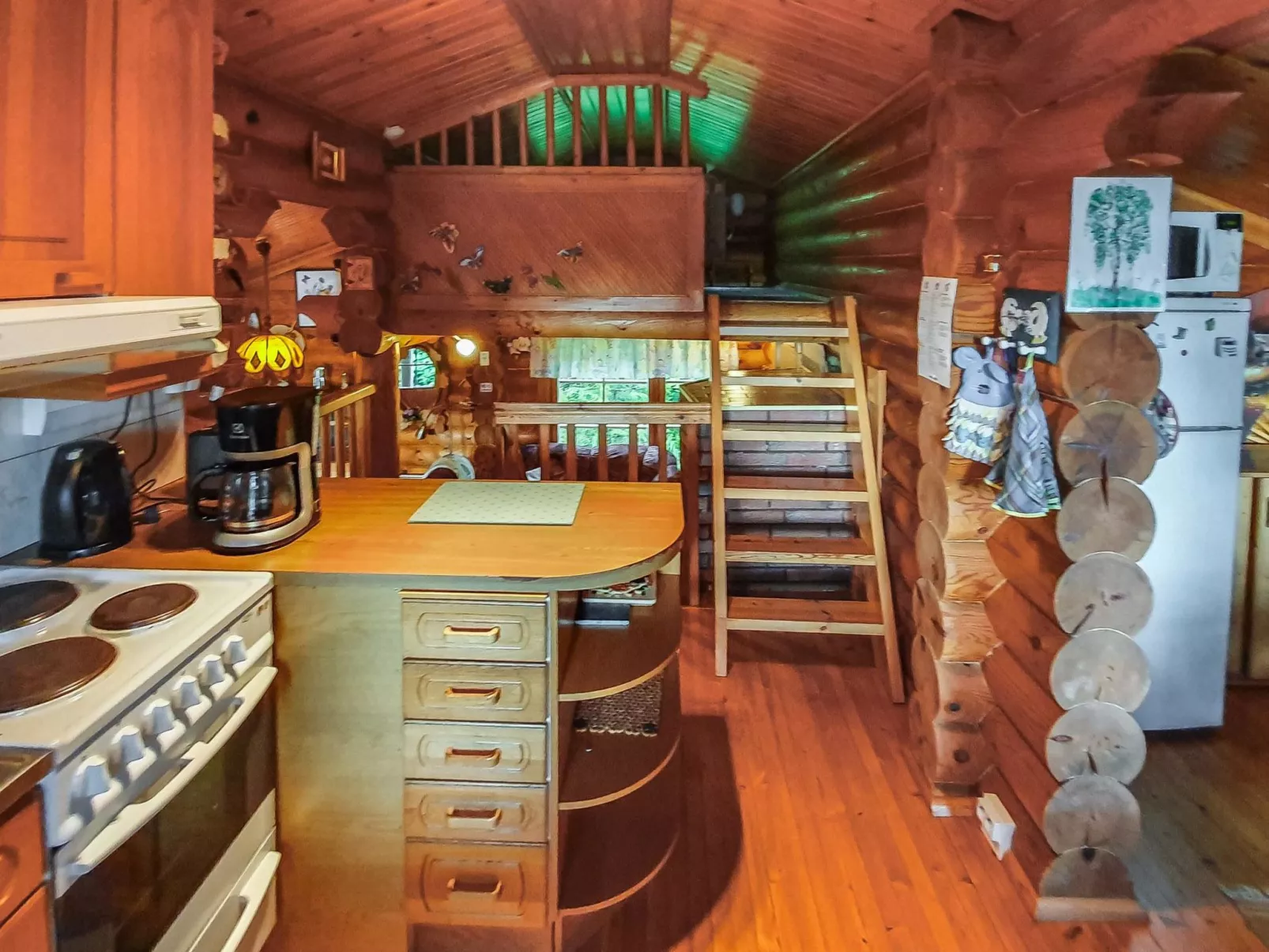 Rinne-expertti-Inside