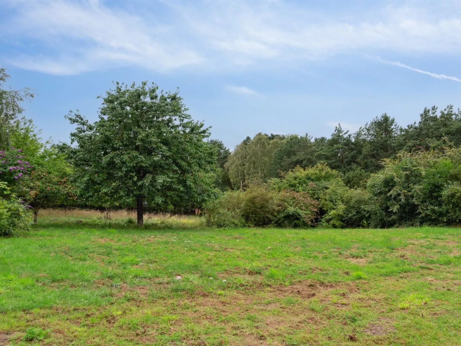 "Aaltje" - 800m from the sea-Dehors