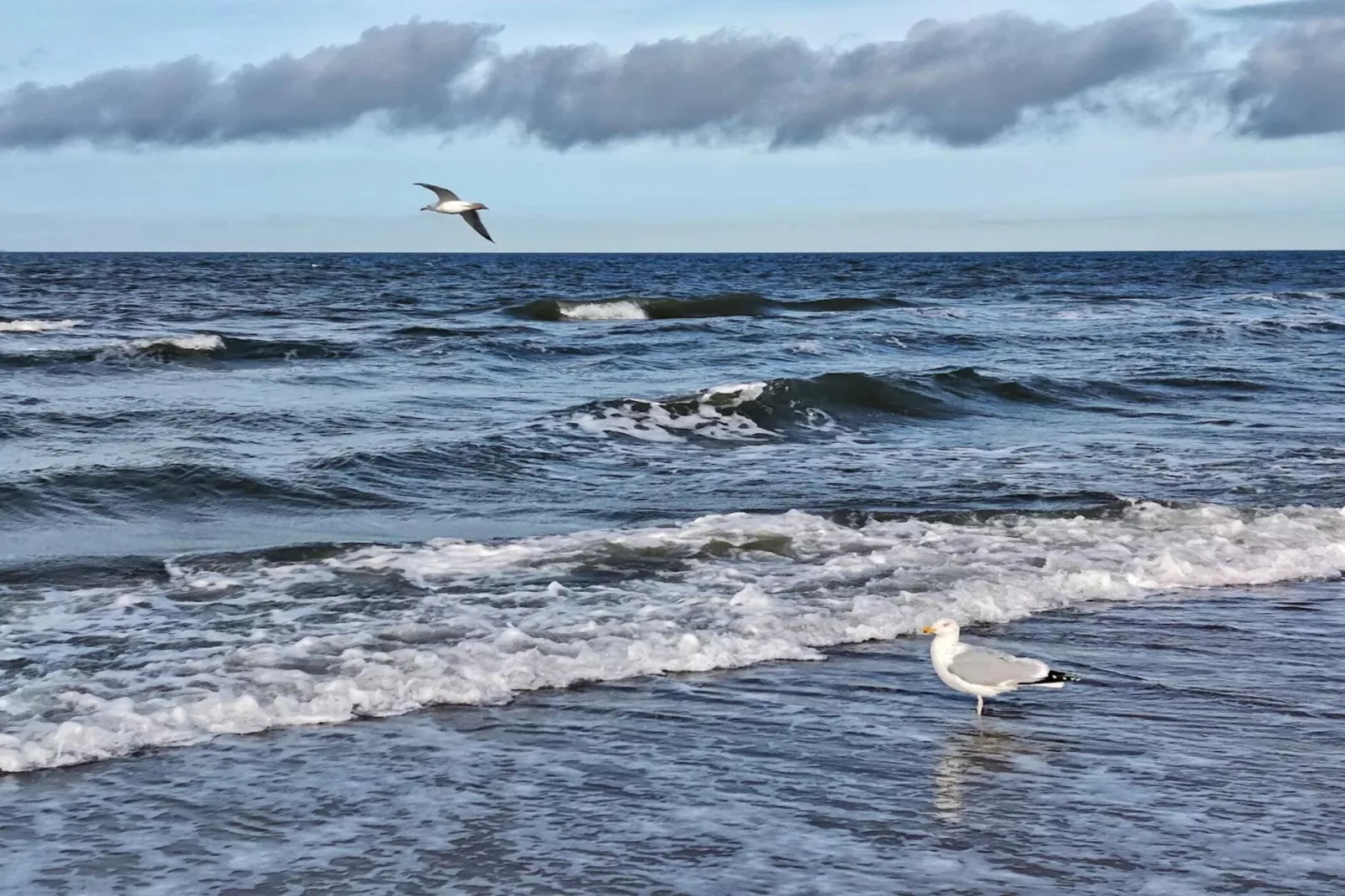 Familienhaus - Haus Sonne - Strandhotel Fischland-Gebiete Sommer 5 km