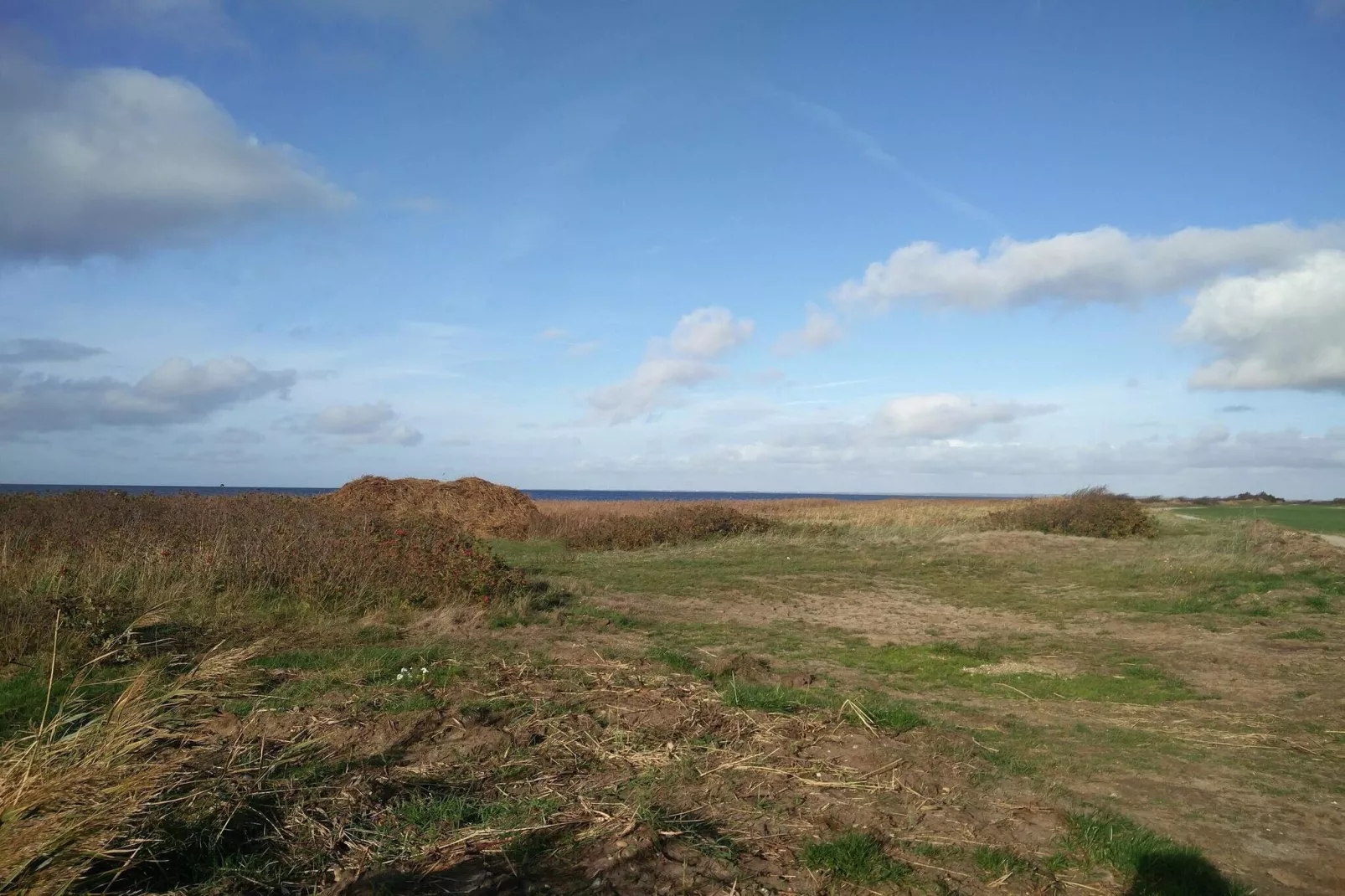 0 Personen Ferienhaus in Hemmet-Wasserblick