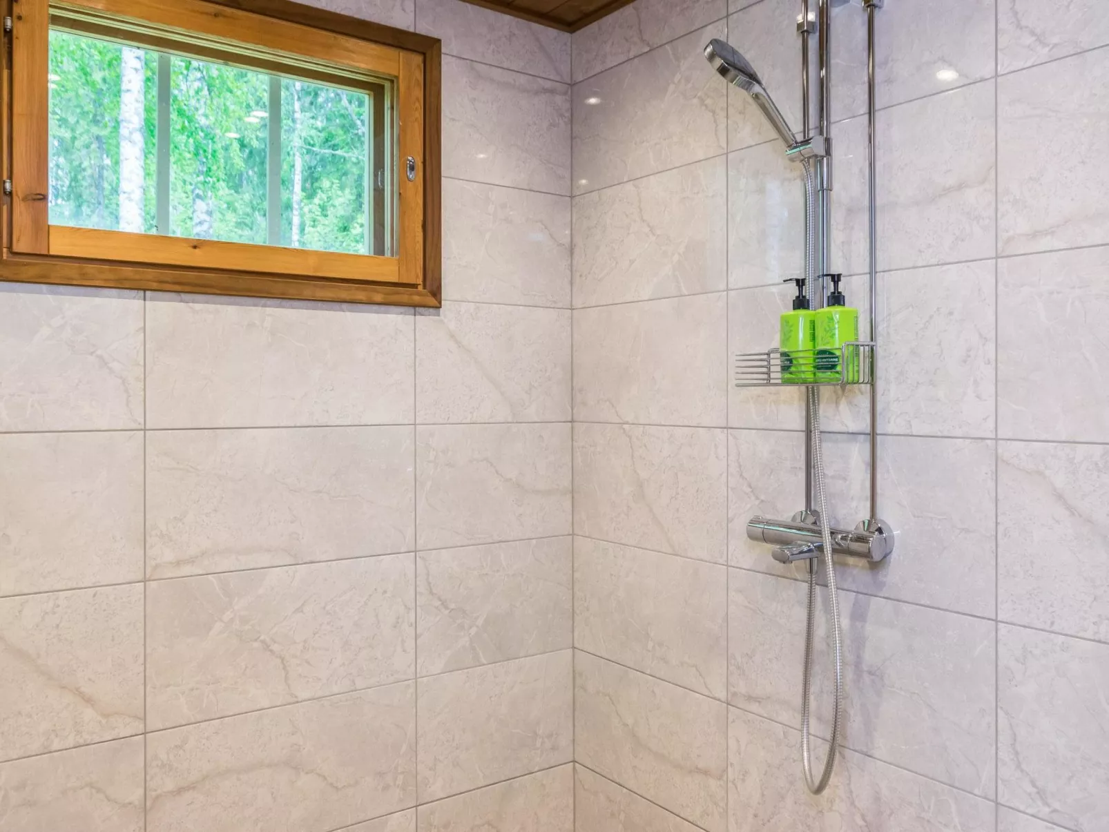 Tervapääsky-Drinnen