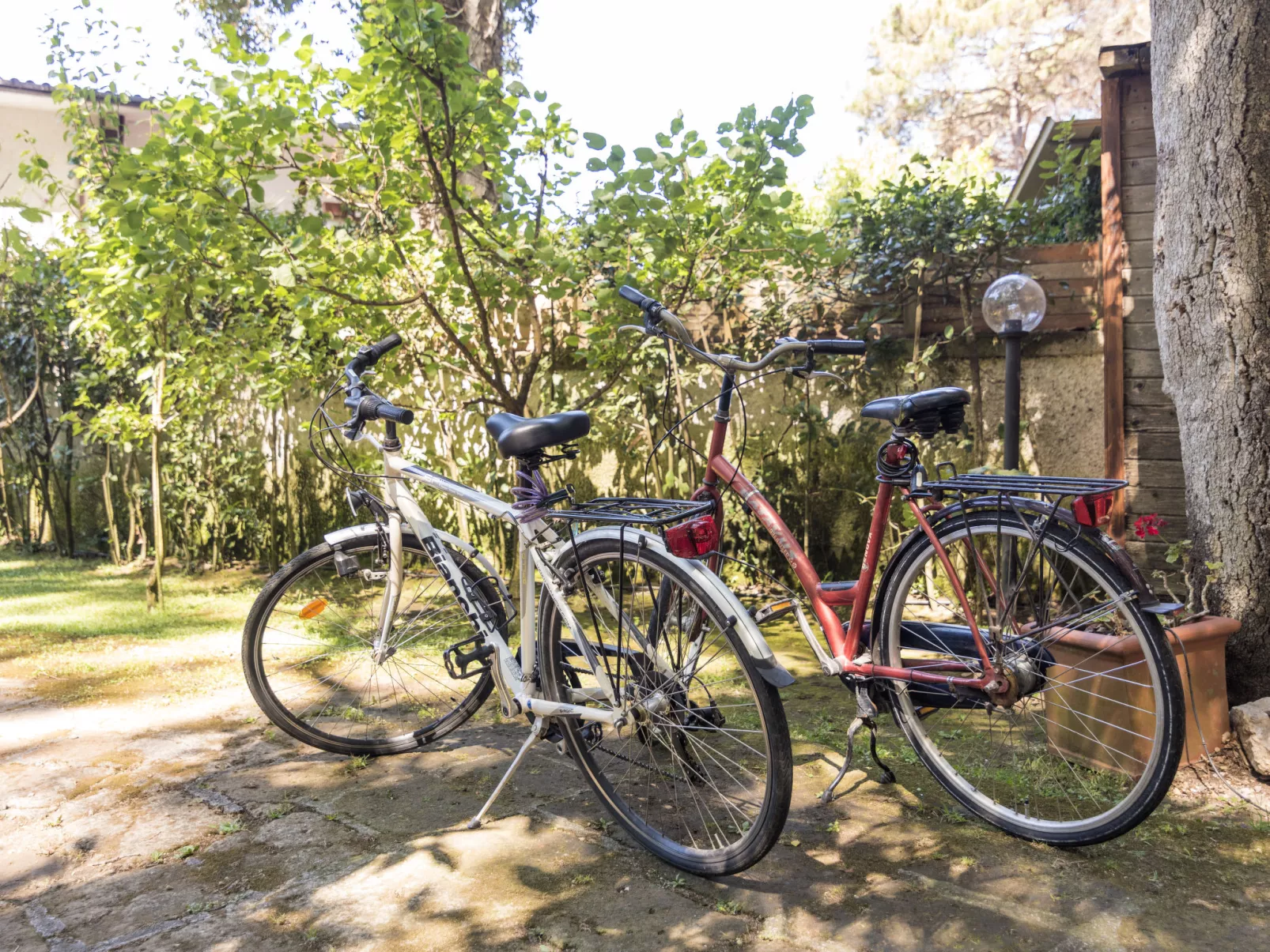 La casina nel bosco-Draußen